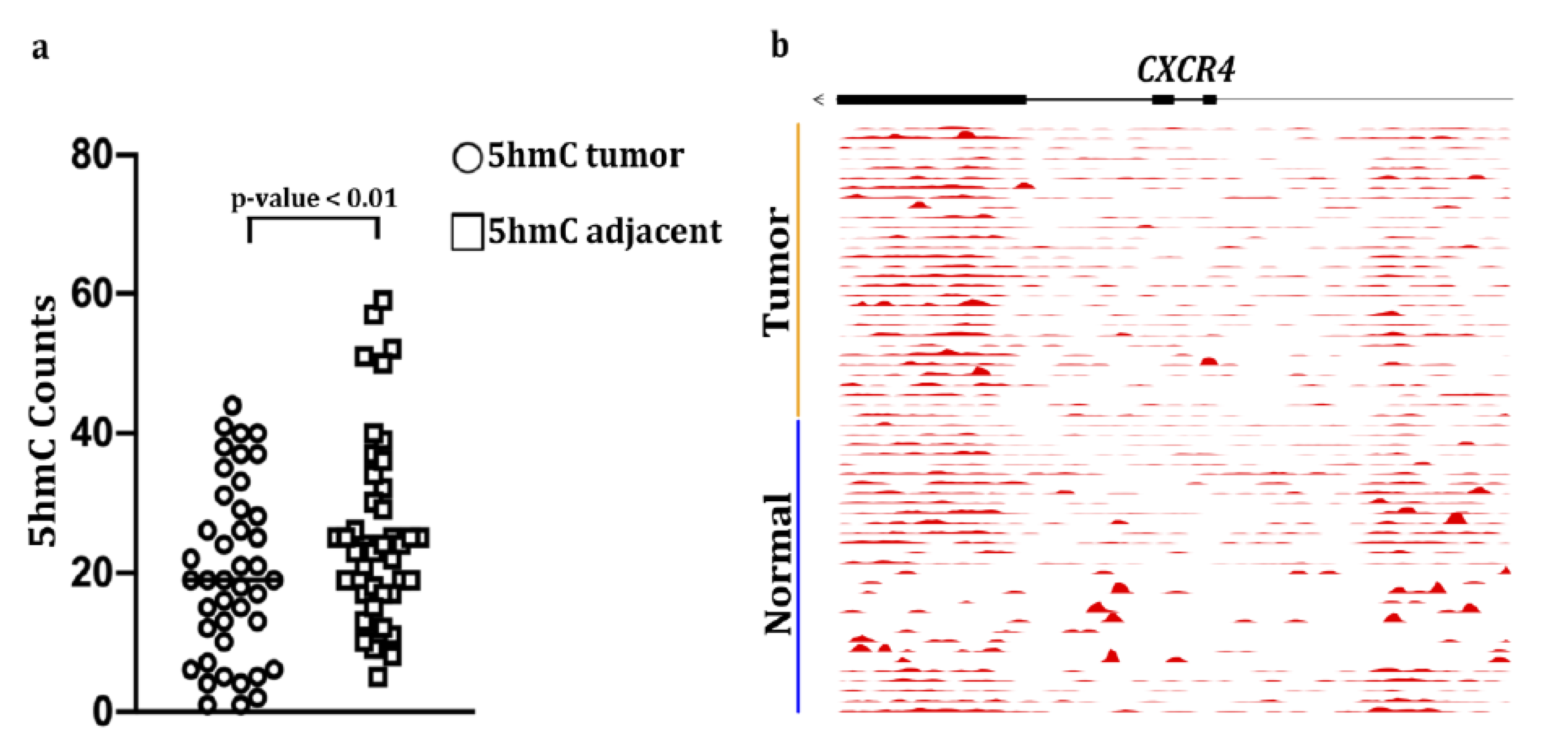 Cancers 12 03104 g001 Cancers 12 03104 g001