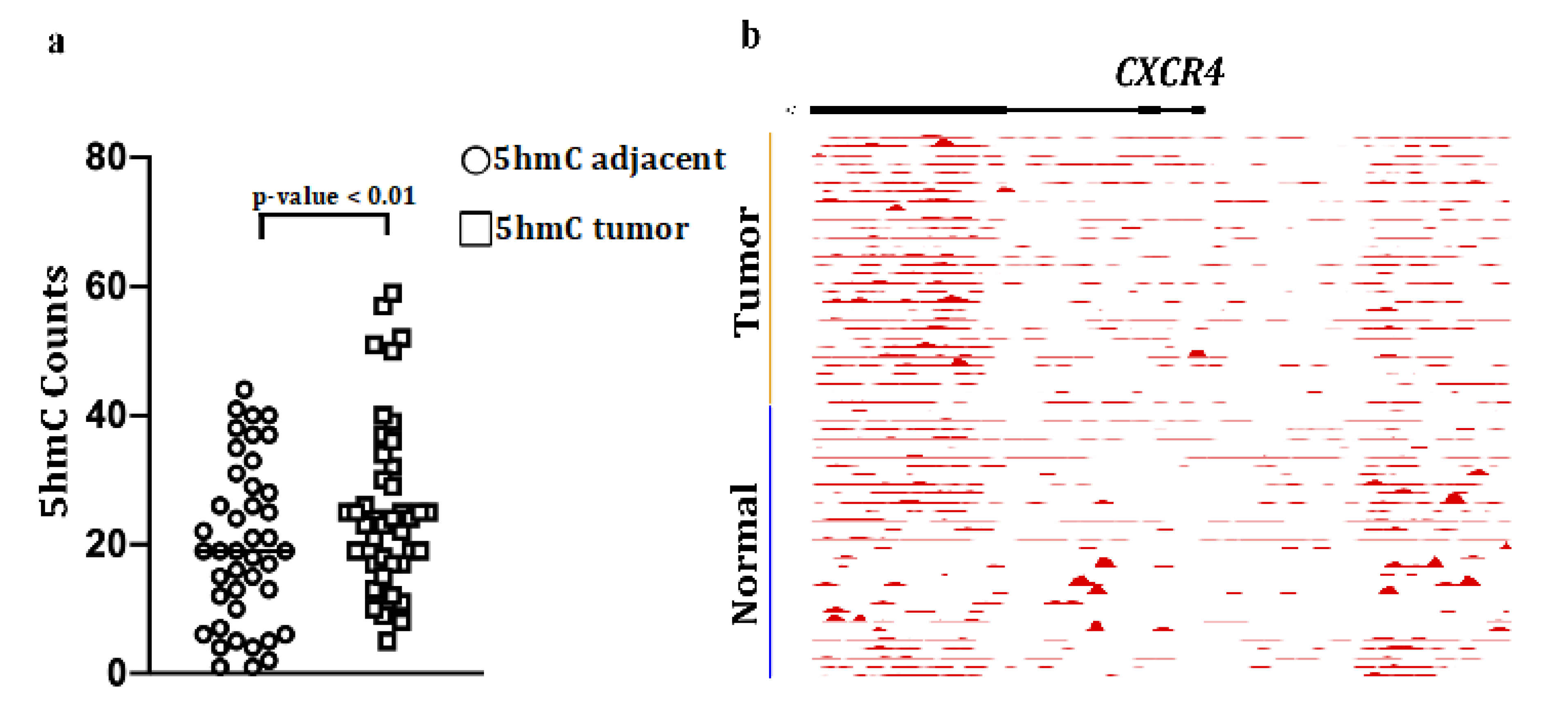 Cancers 12 03104 g002 Cancers 12 03104 g002
