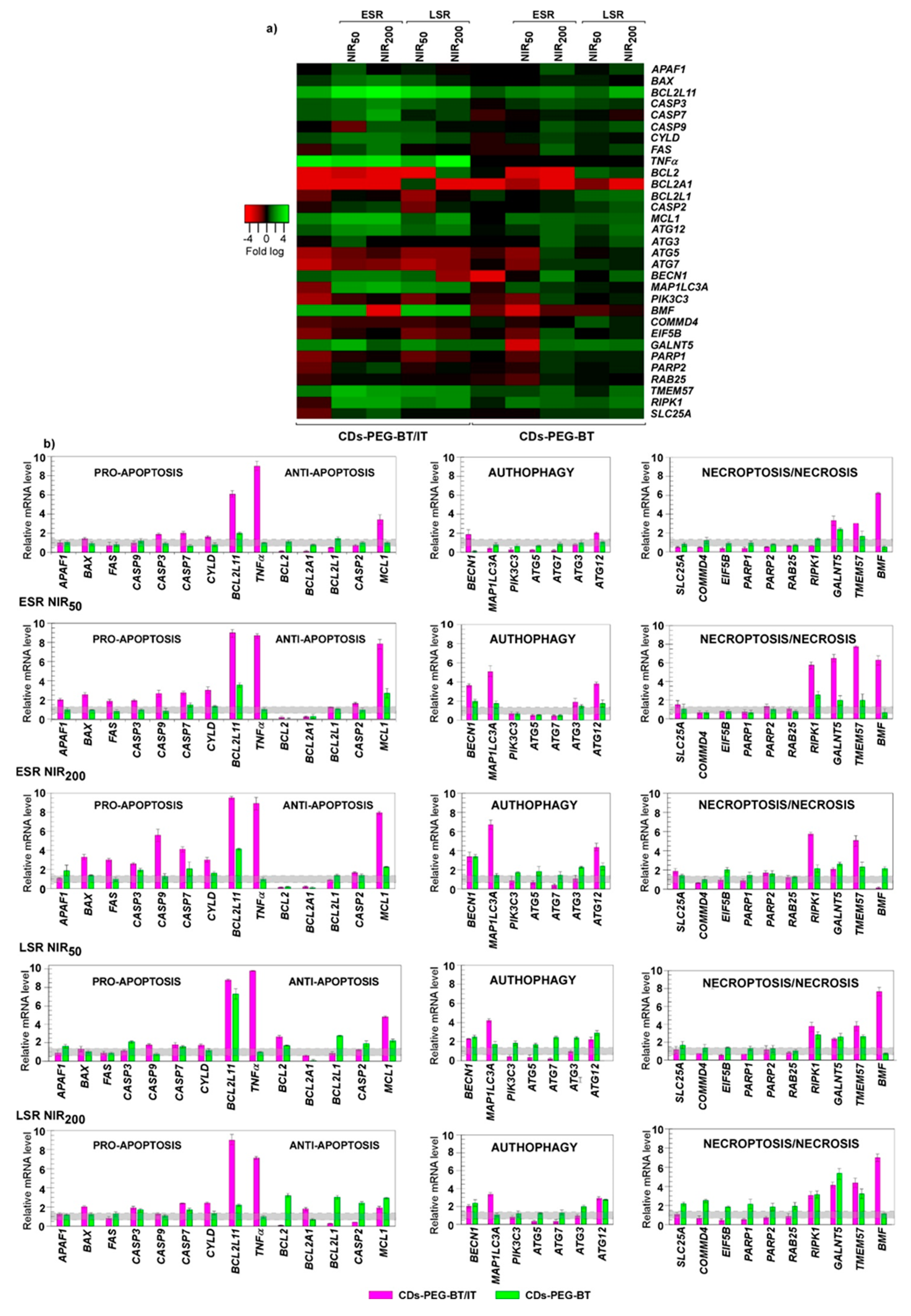 Cancers 12 03114 g006 Cancers 12 03114 g006