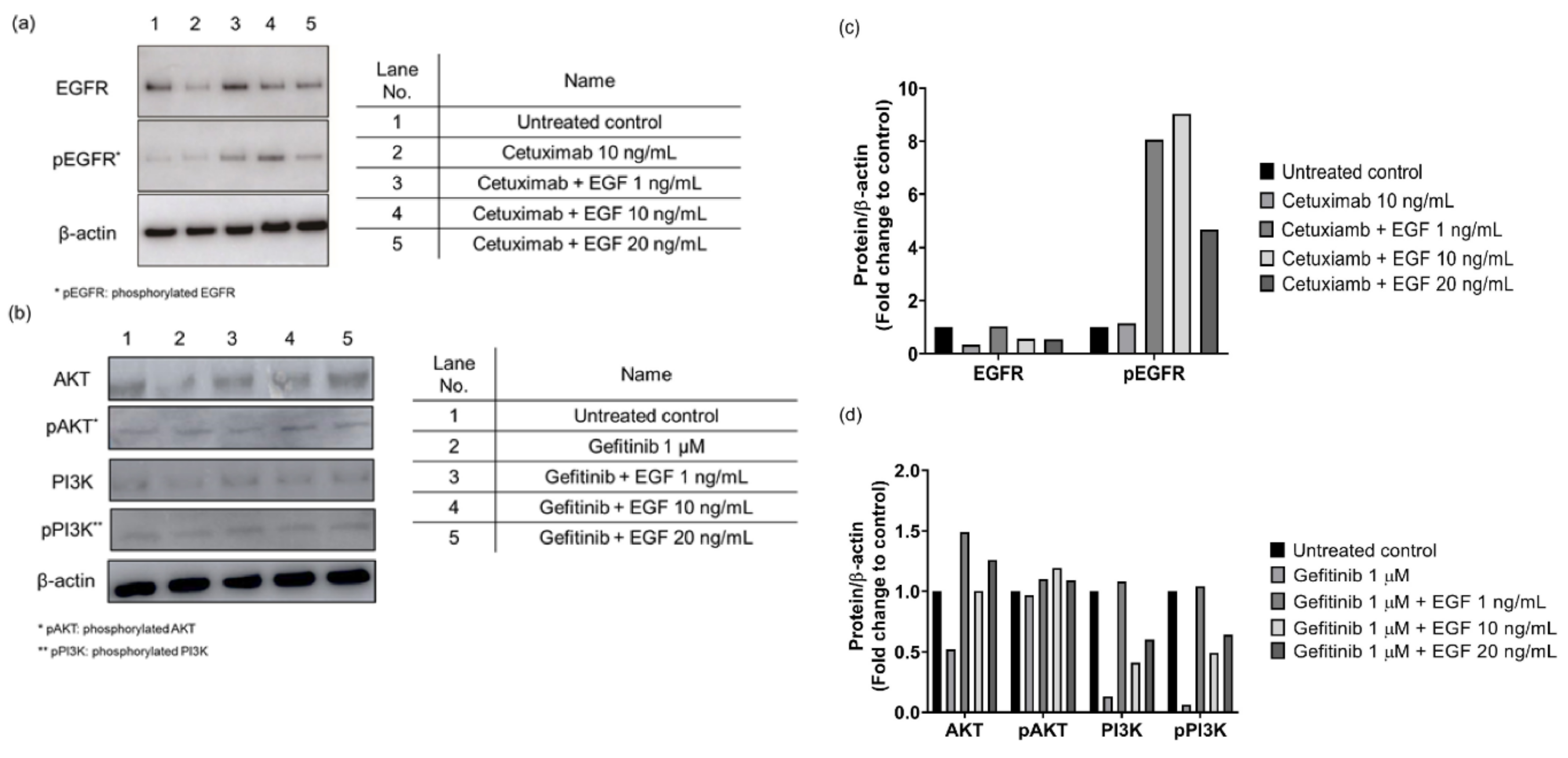 Cancers 12 03120 g001