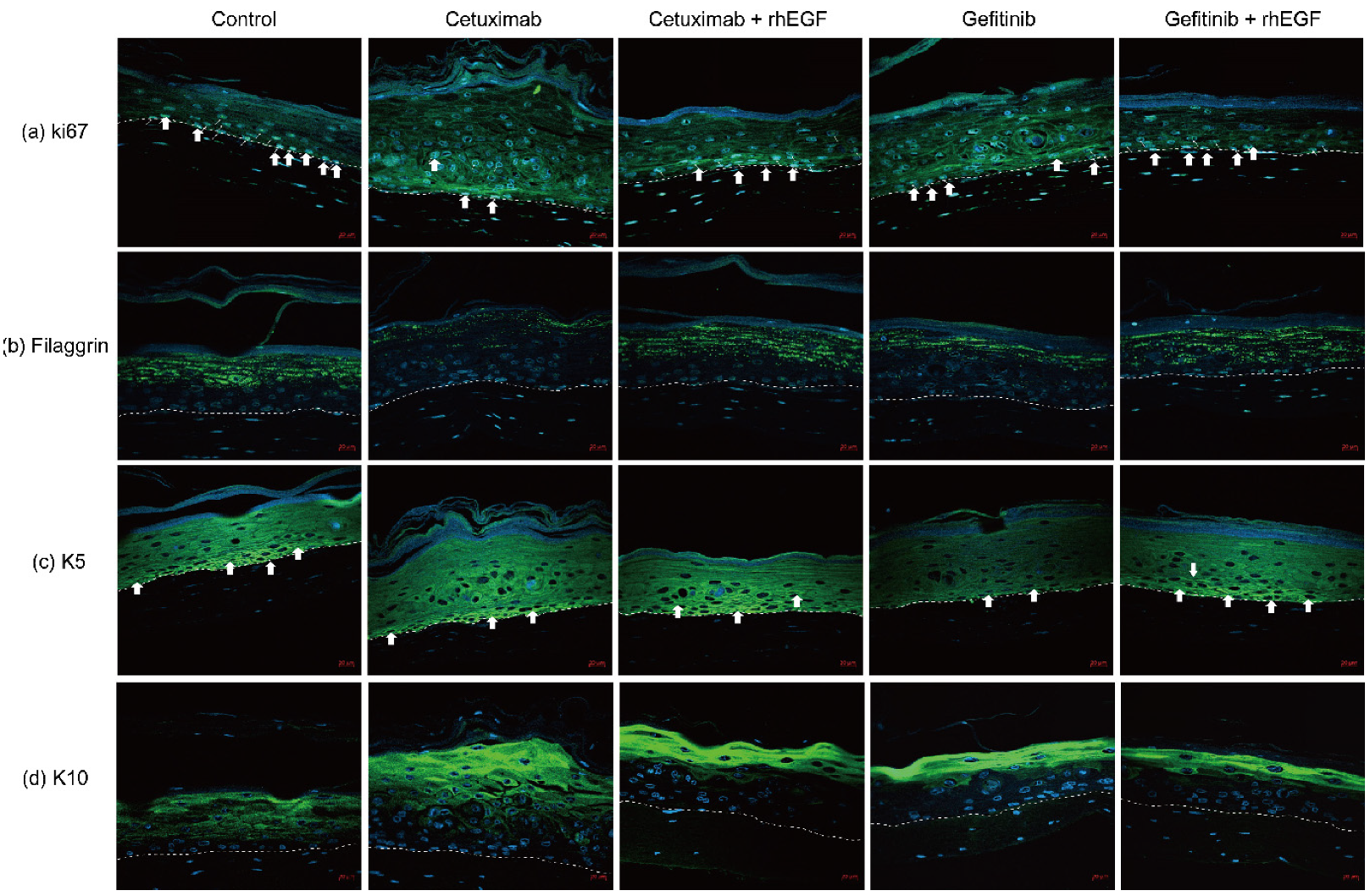 Cancers 12 03120 g002