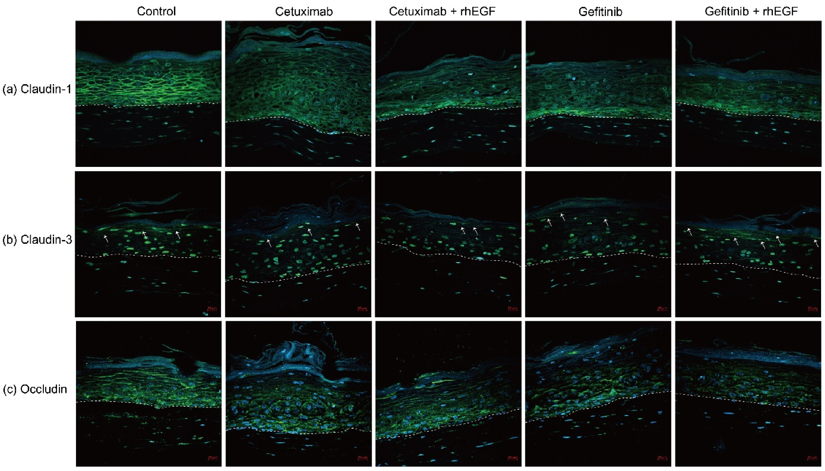 Cancers 12 03120 g003