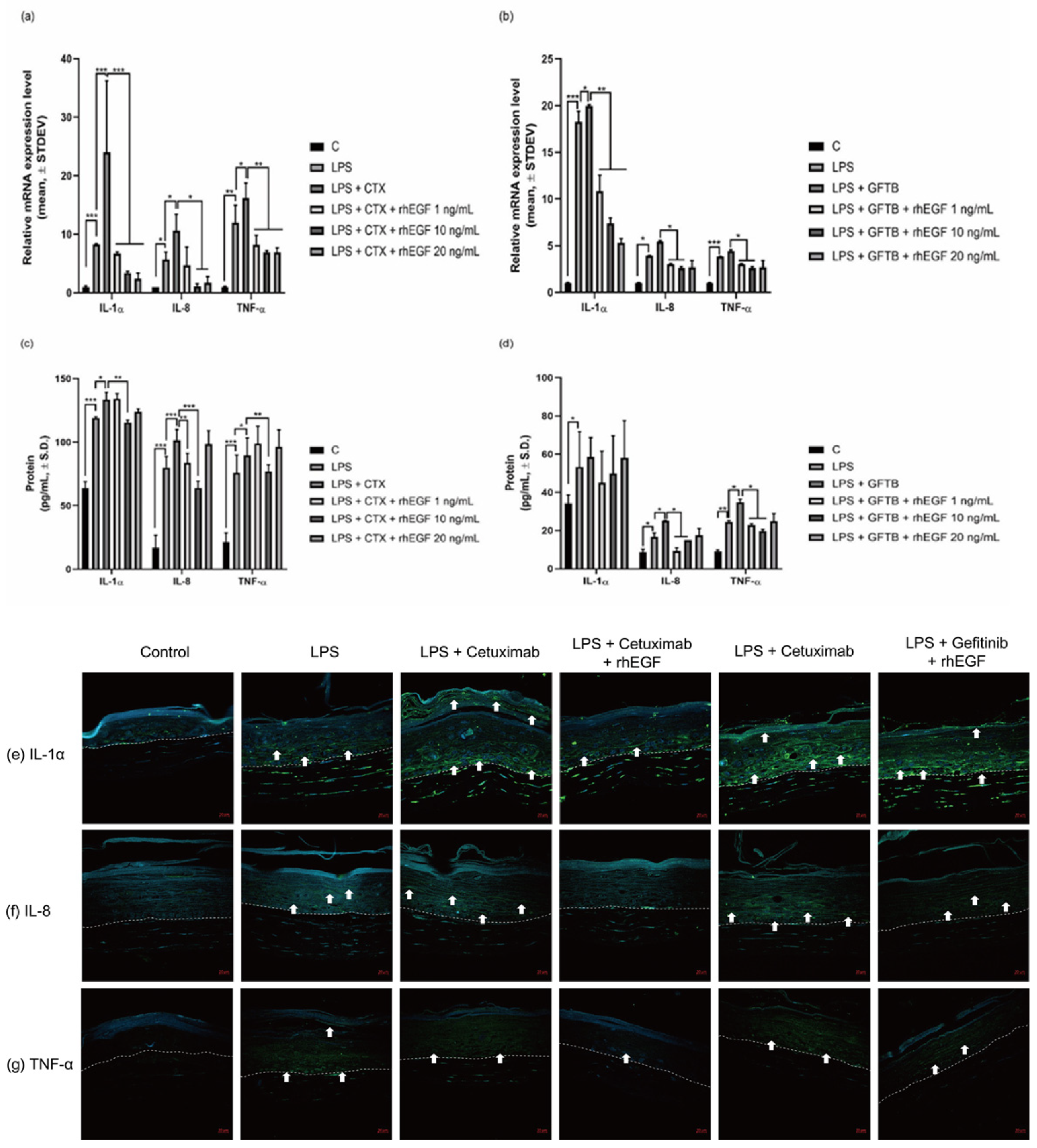 Cancers 12 03120 g004