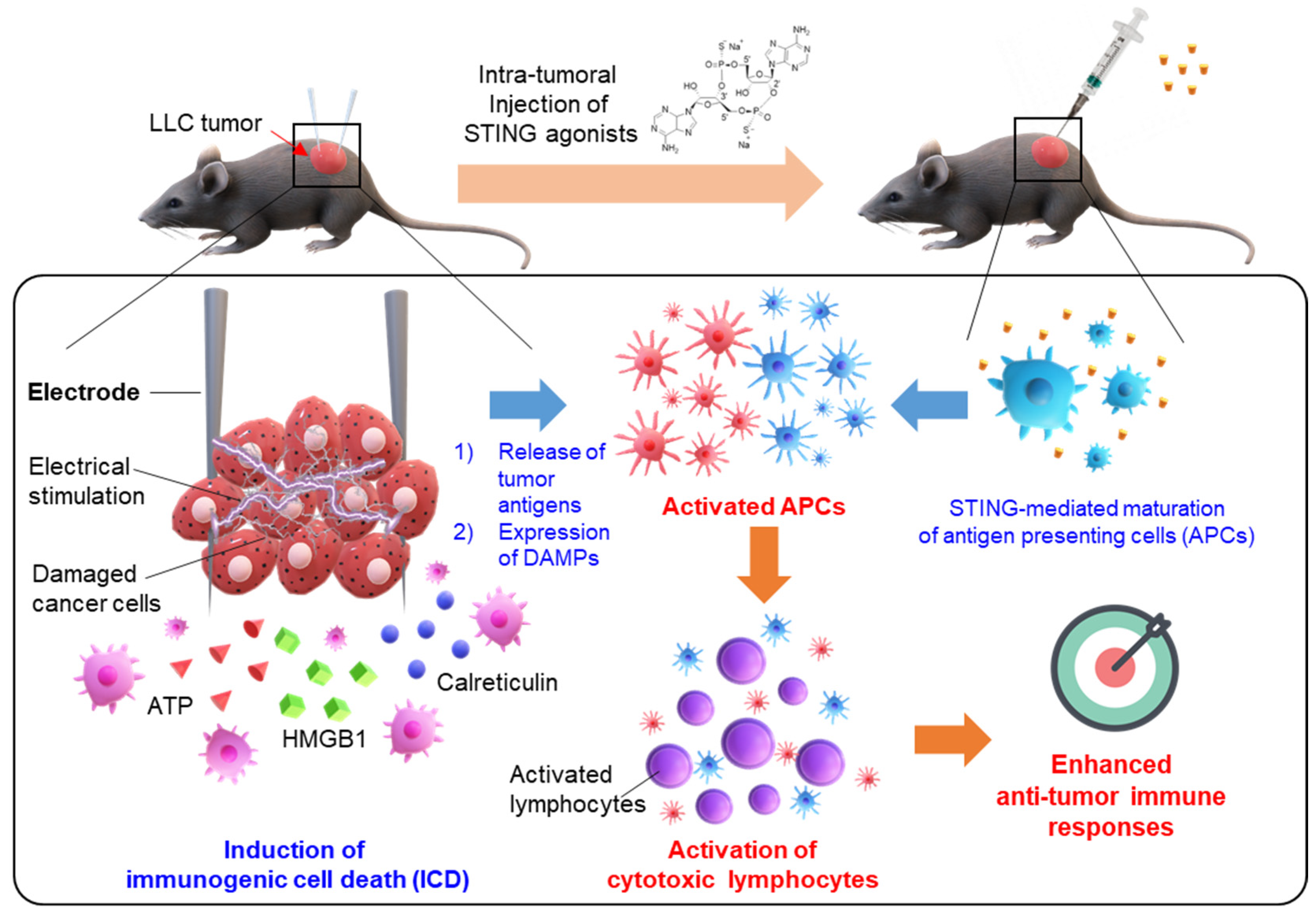 Cancers 12 03123 g001