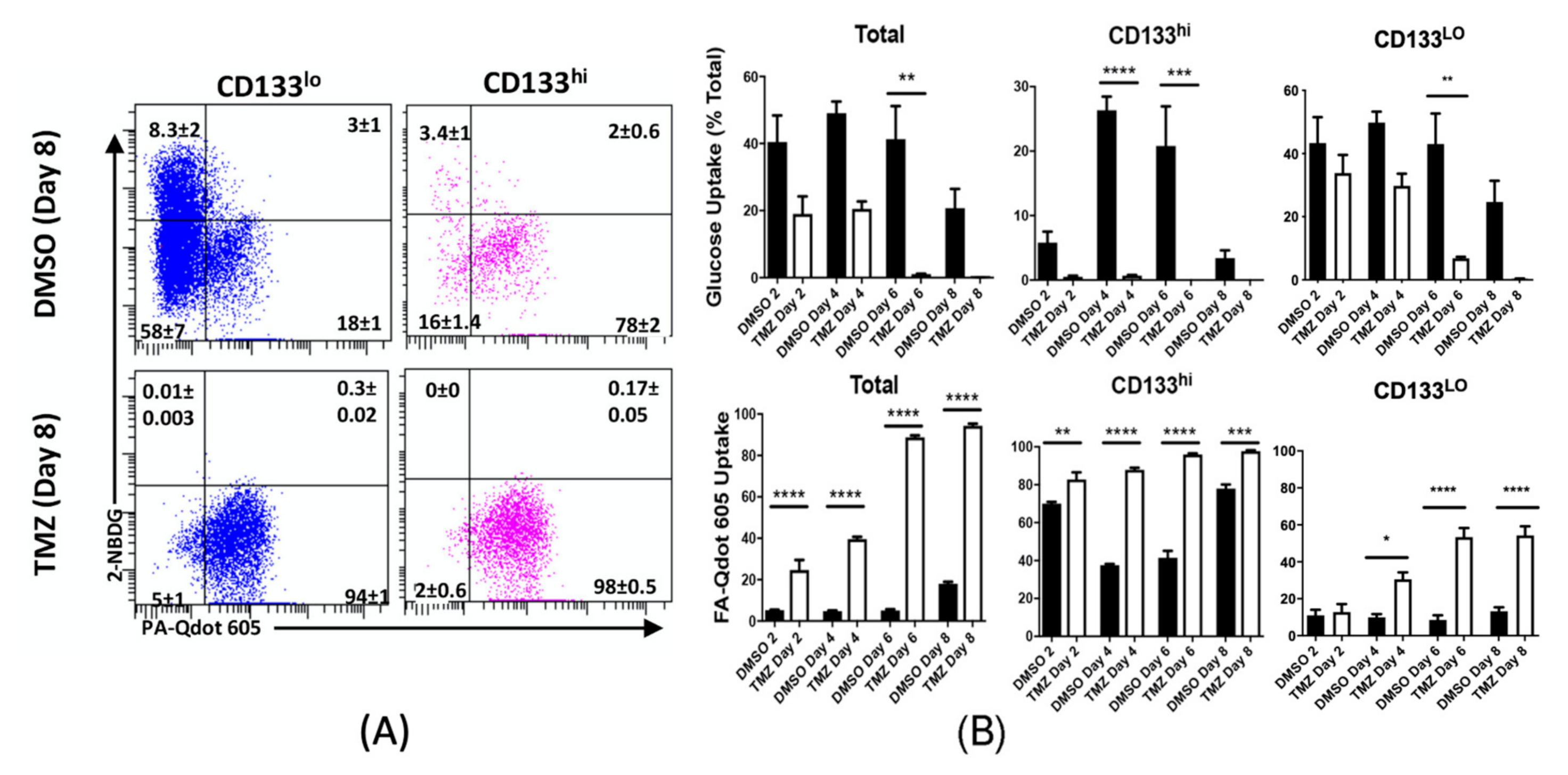 Cancers 12 03126 g004 Cancers 12 03126 g004