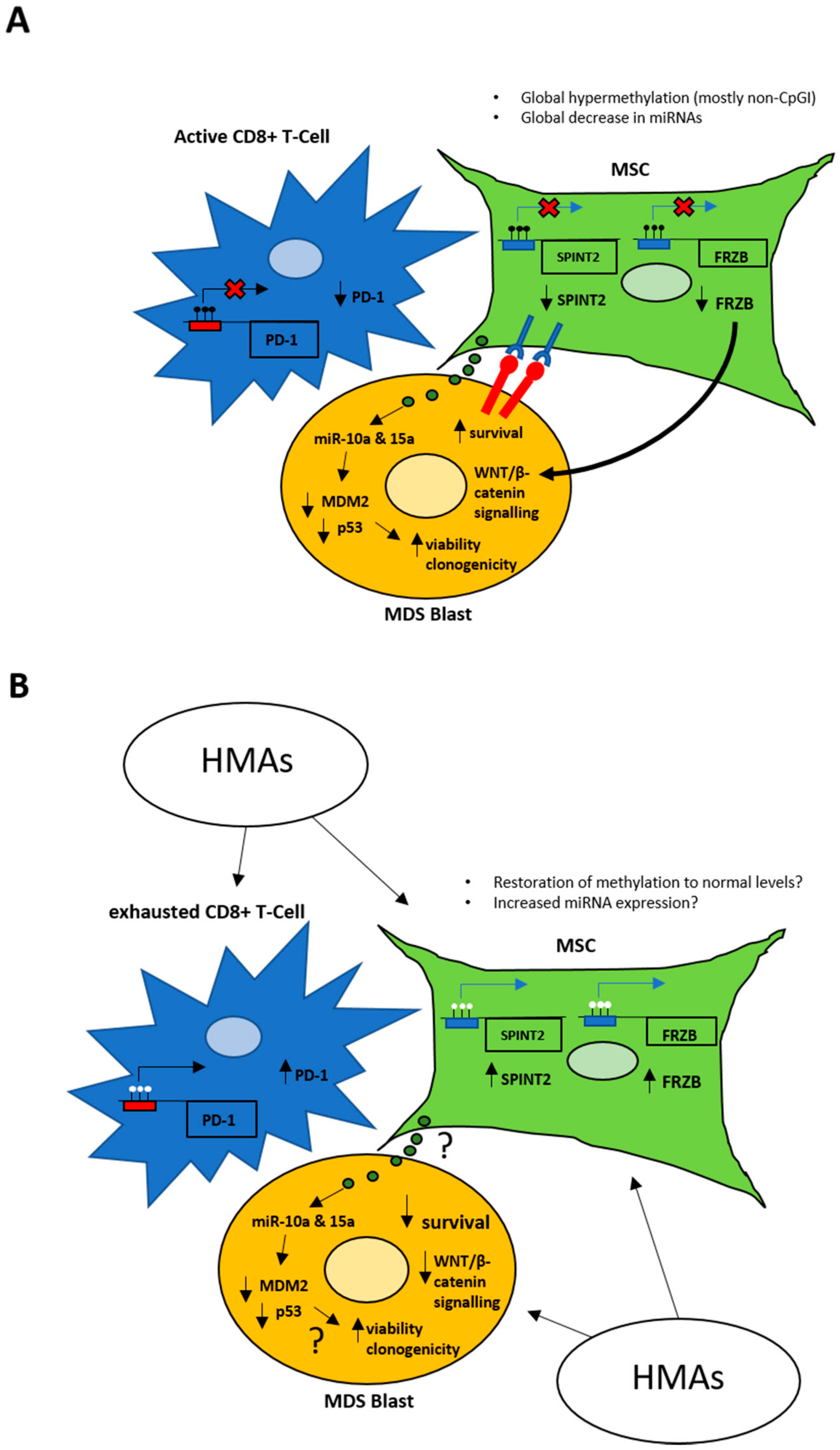 Cancers 12 03128 g002 Cancers 12 03128 g002