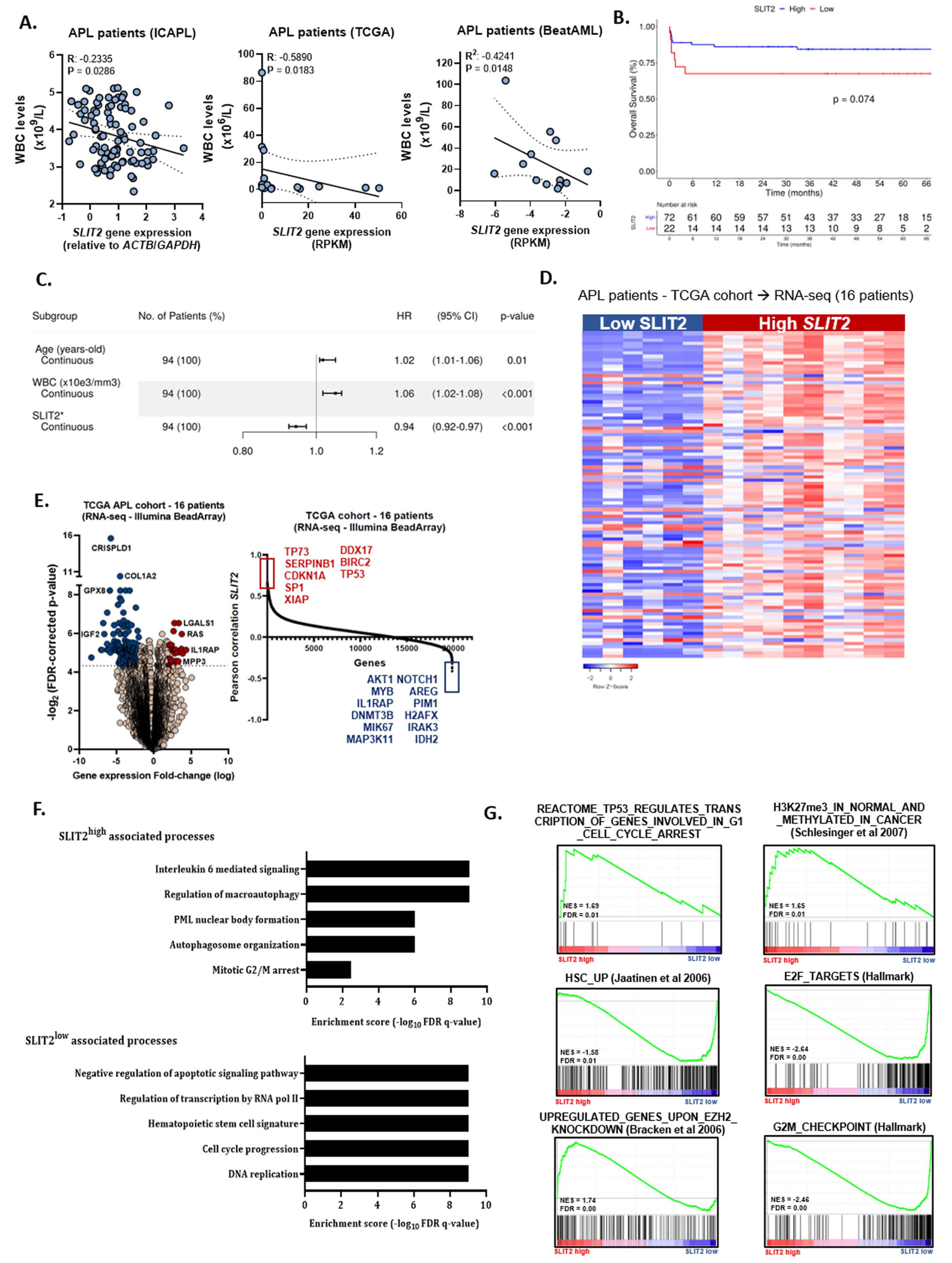 Cancers 12 03134 g001 Cancers 12 03134 g001