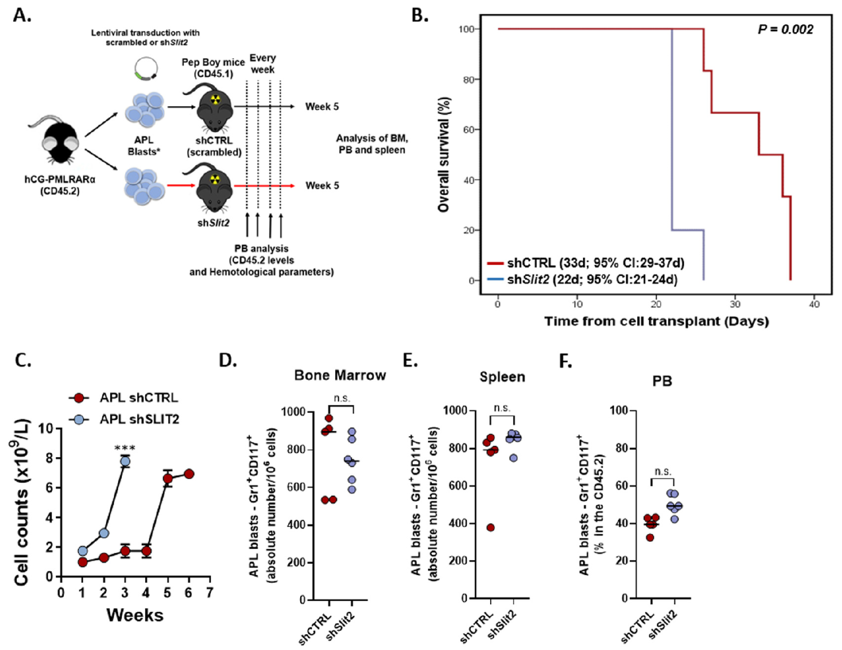 Cancers 12 03134 g003 Cancers 12 03134 g003