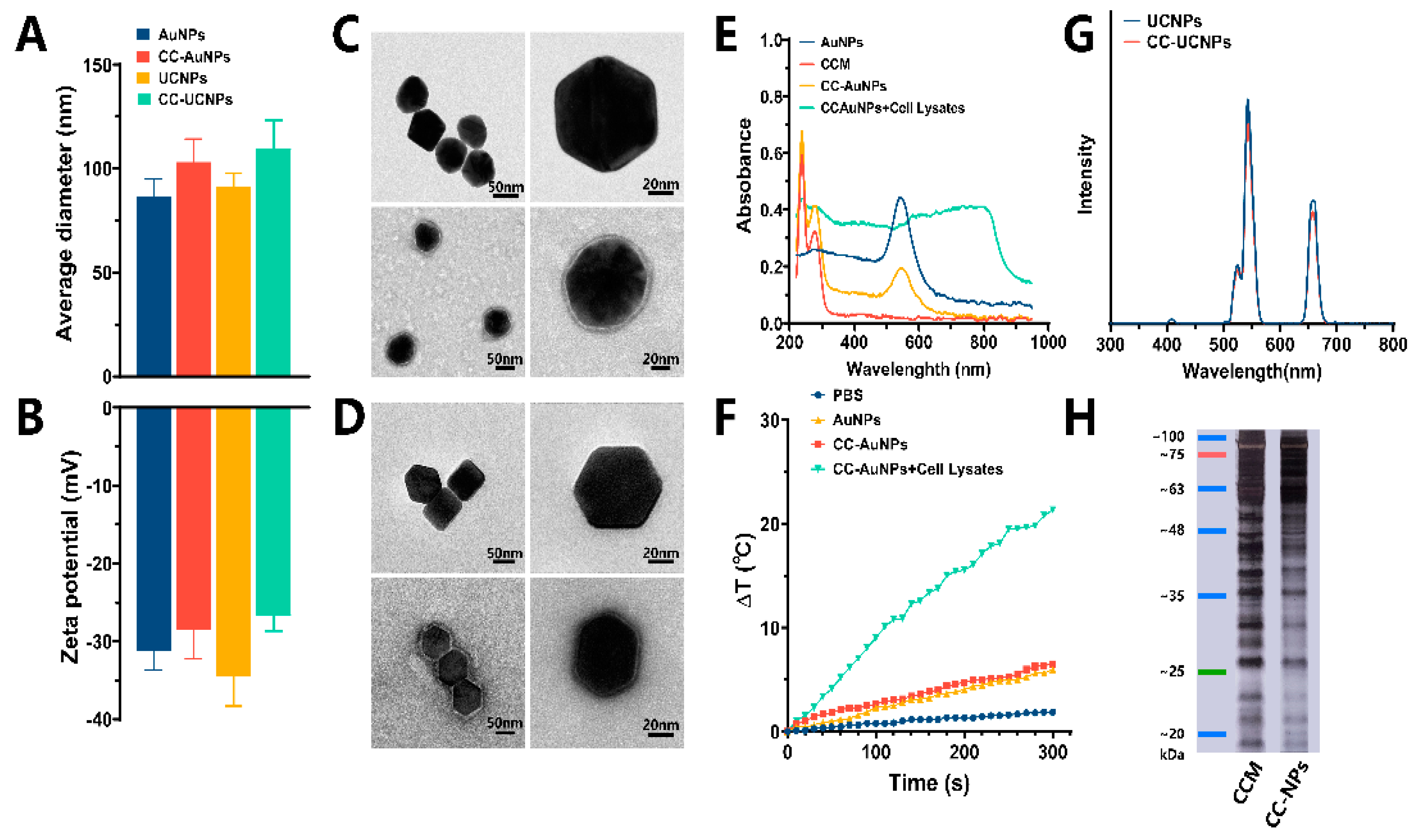 Cancers 12 03136 g001 Cancers 12 03136 g001