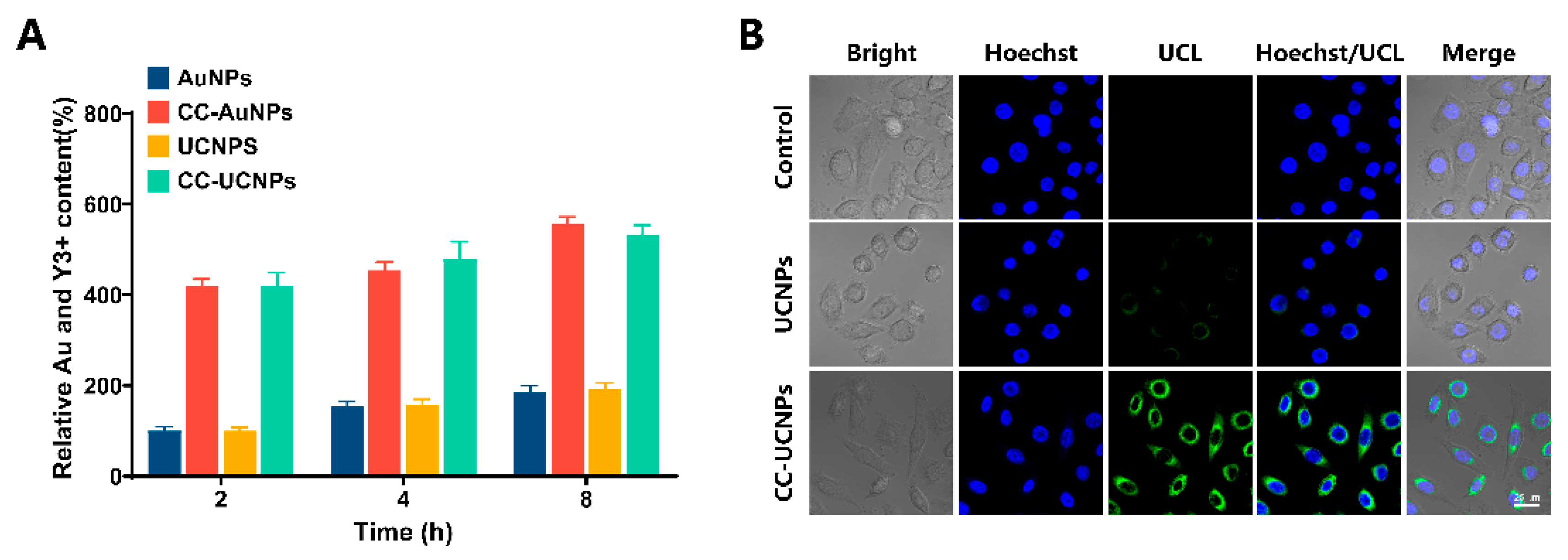 Cancers 12 03136 g003 Cancers 12 03136 g003