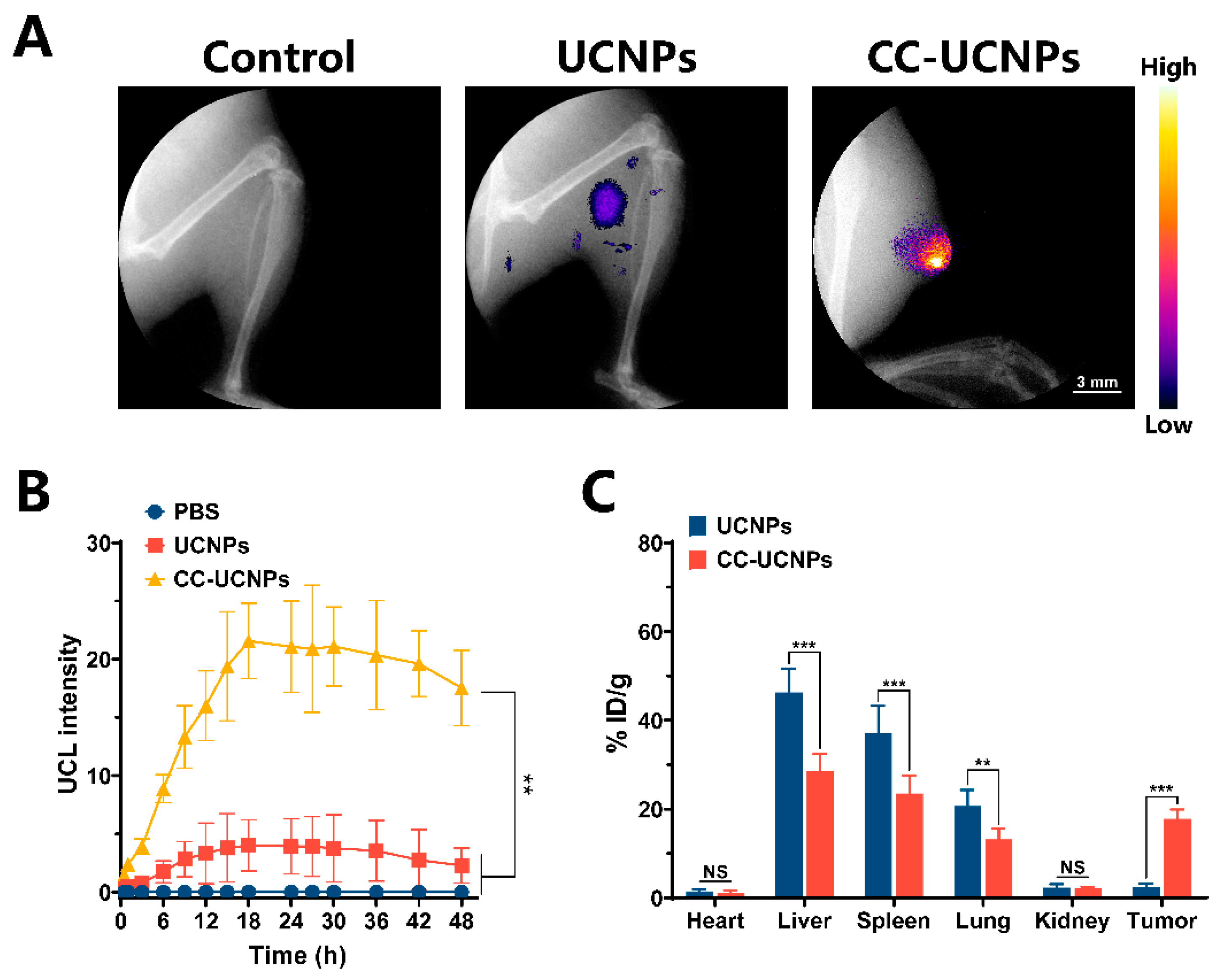 Cancers 12 03136 g005 Cancers 12 03136 g005
