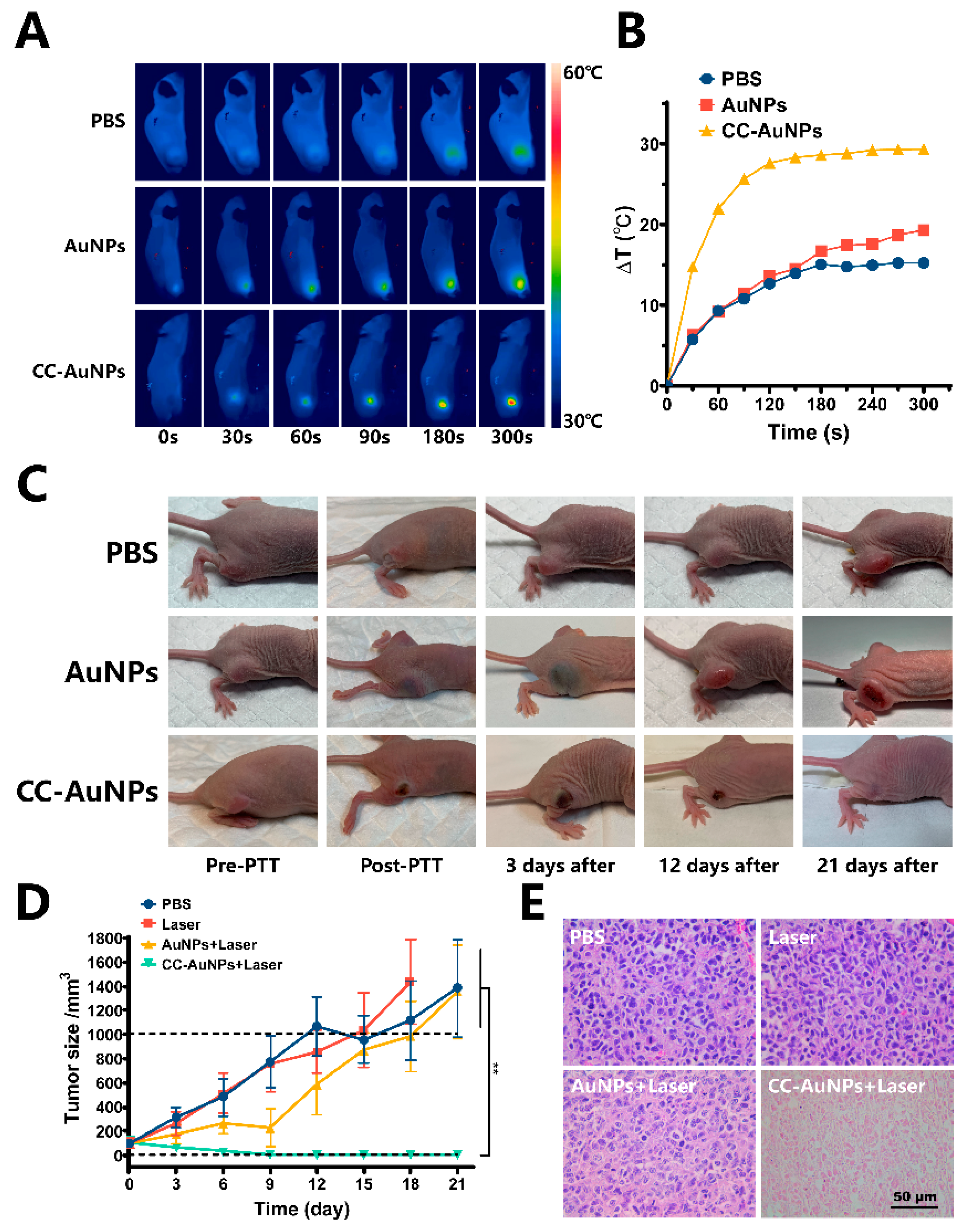 Cancers 12 03136 g006 Cancers 12 03136 g006