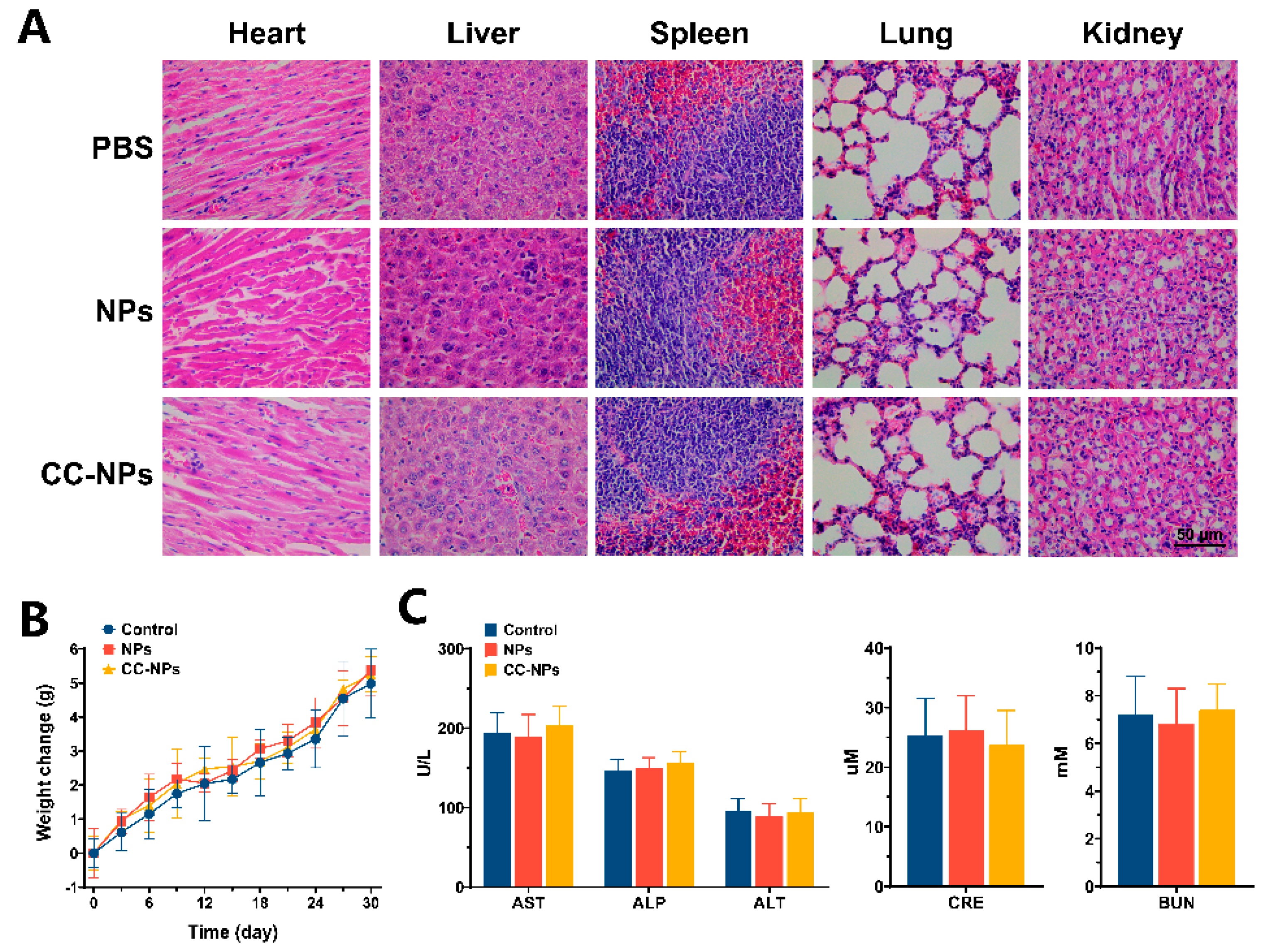 Cancers 12 03136 g007 Cancers 12 03136 g007