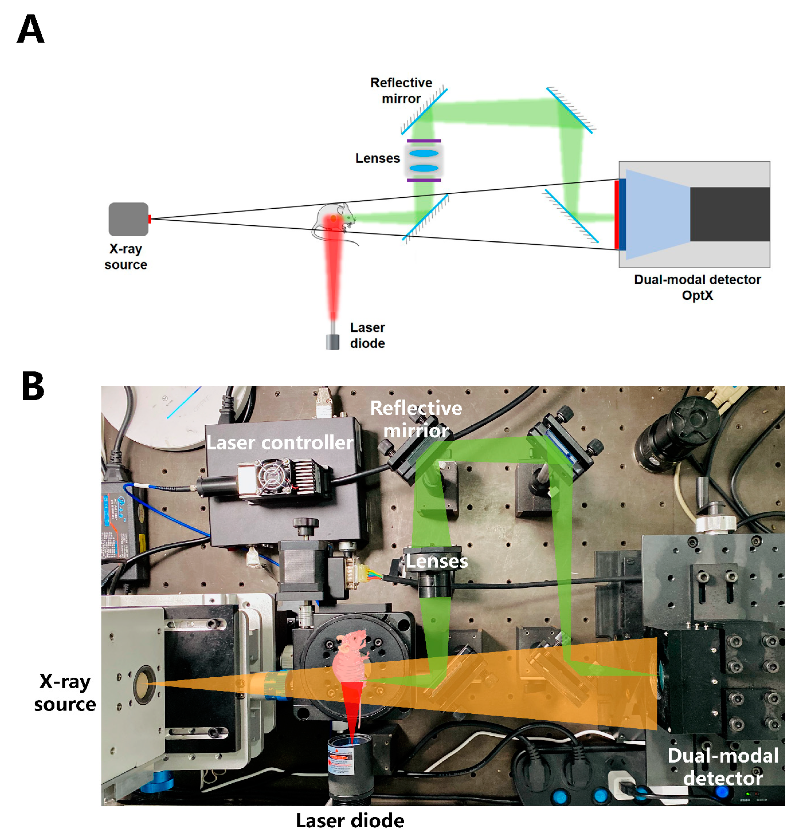 Cancers 12 03136 g008 Cancers 12 03136 g008
