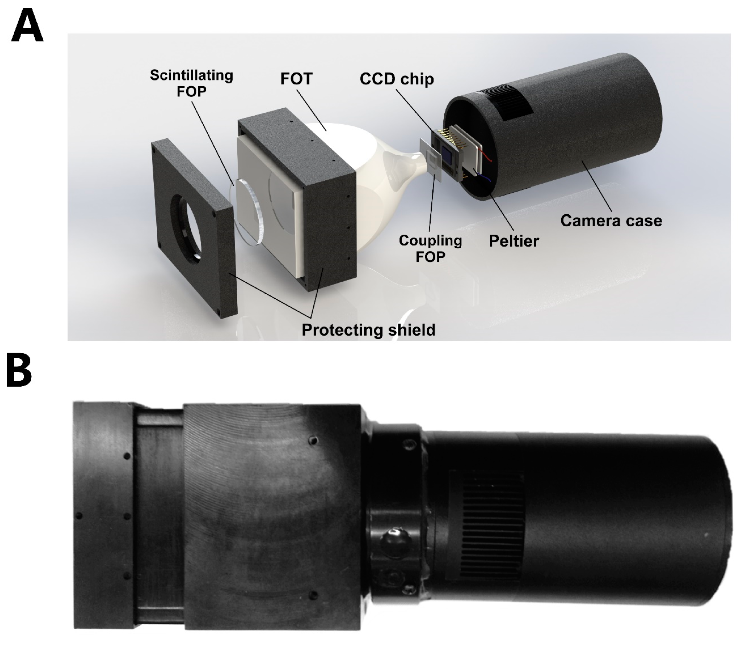 Cancers 12 03136 g009 Cancers 12 03136 g009