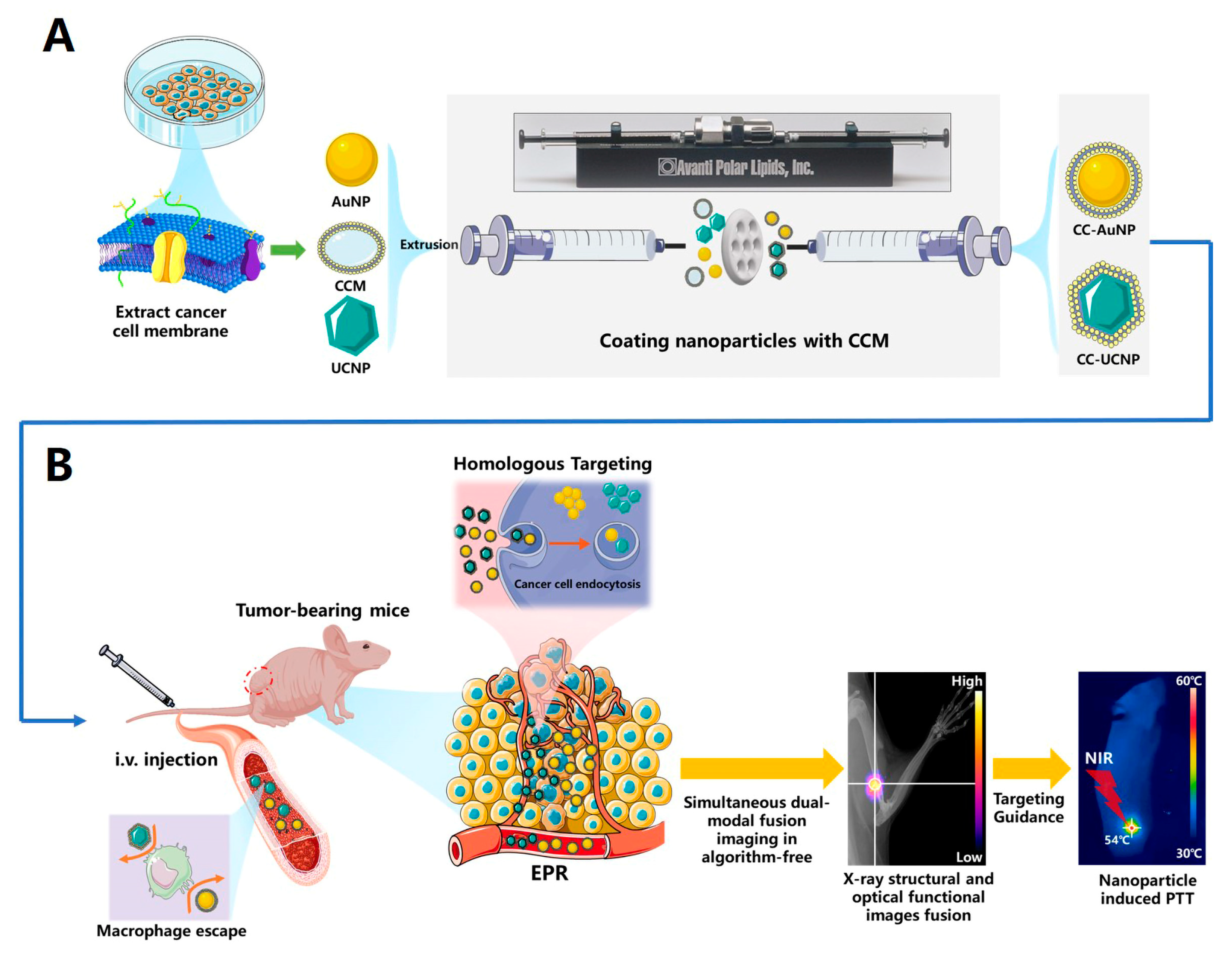 Cancers 12 03136 sch001 Cancers 12 03136 sch001