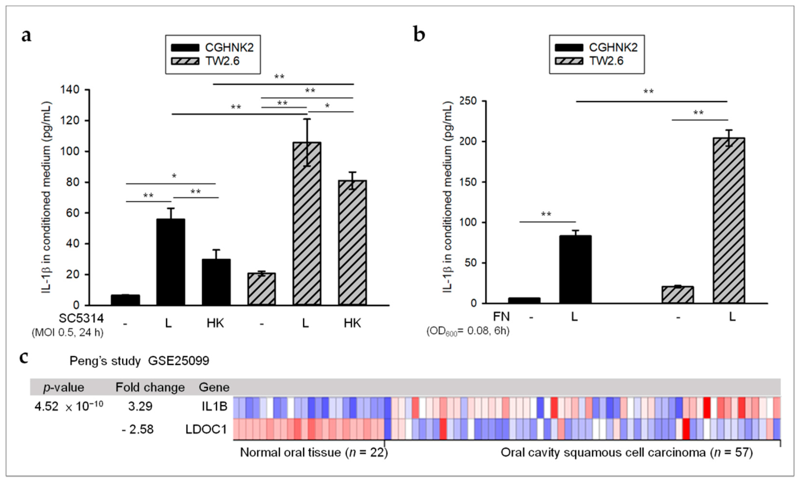 Cancers 12 03148 g002 Cancers 12 03148 g002