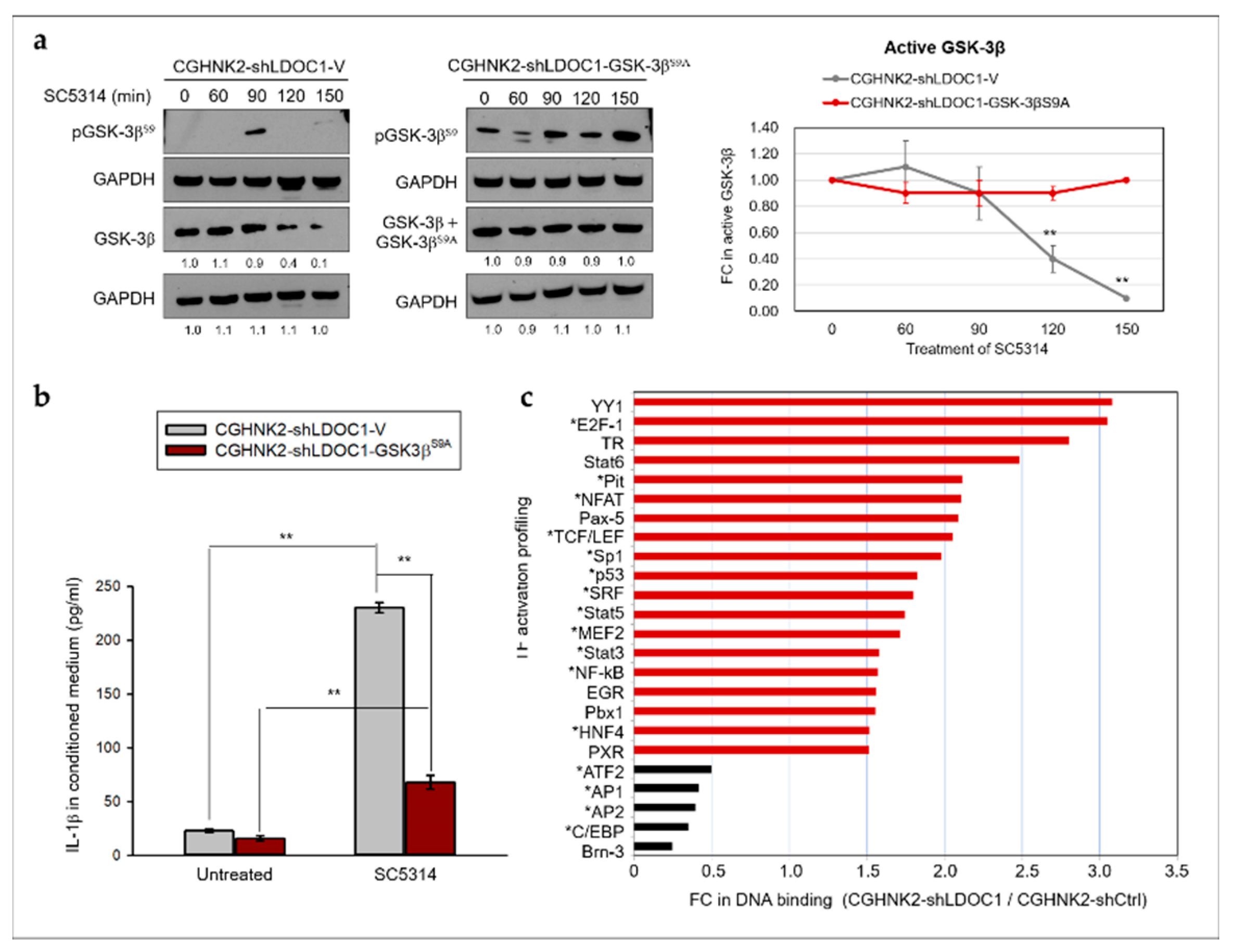 Cancers 12 03148 g007 Cancers 12 03148 g007