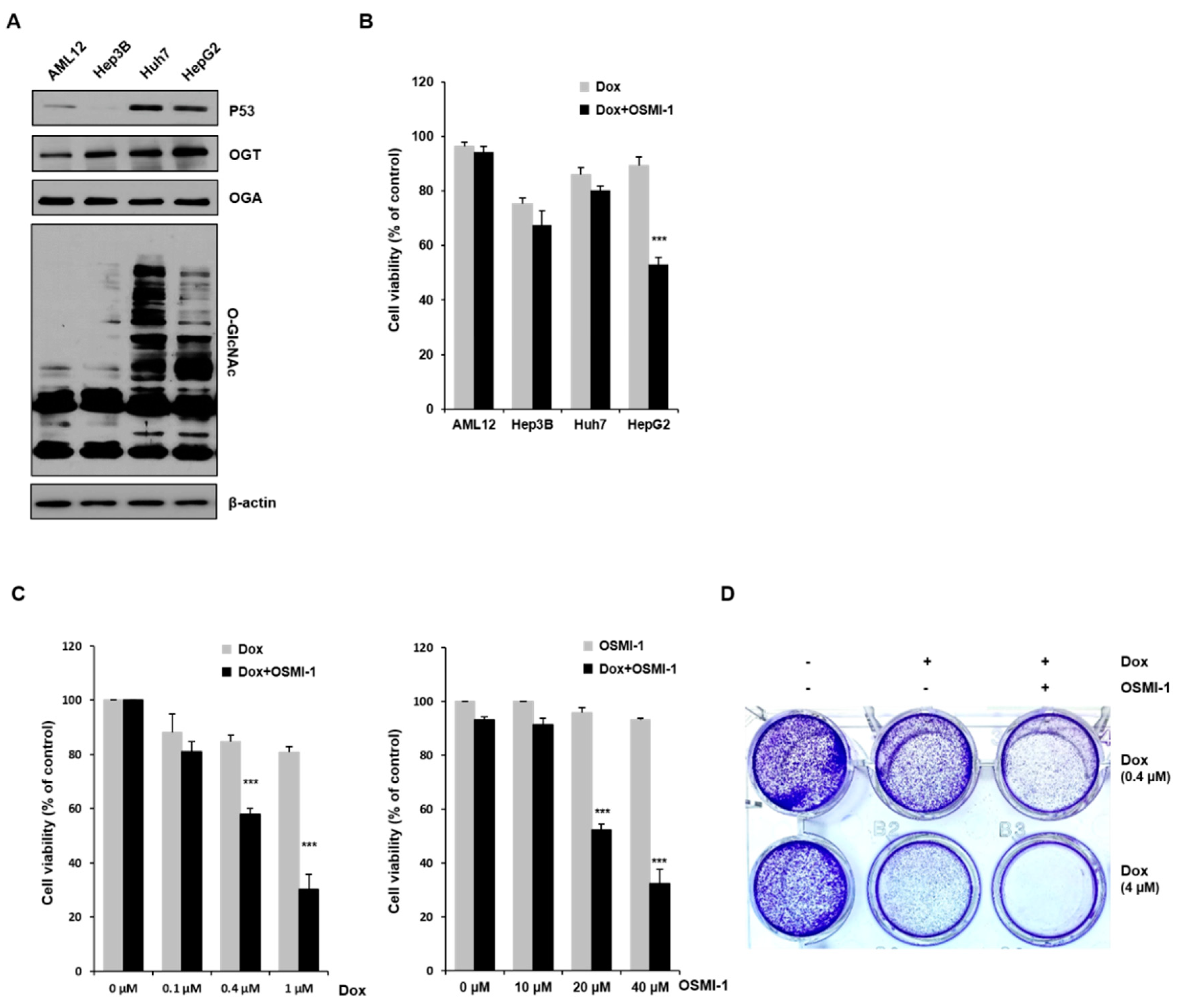 Cancers 12 03154 g001 Cancers 12 03154 g001