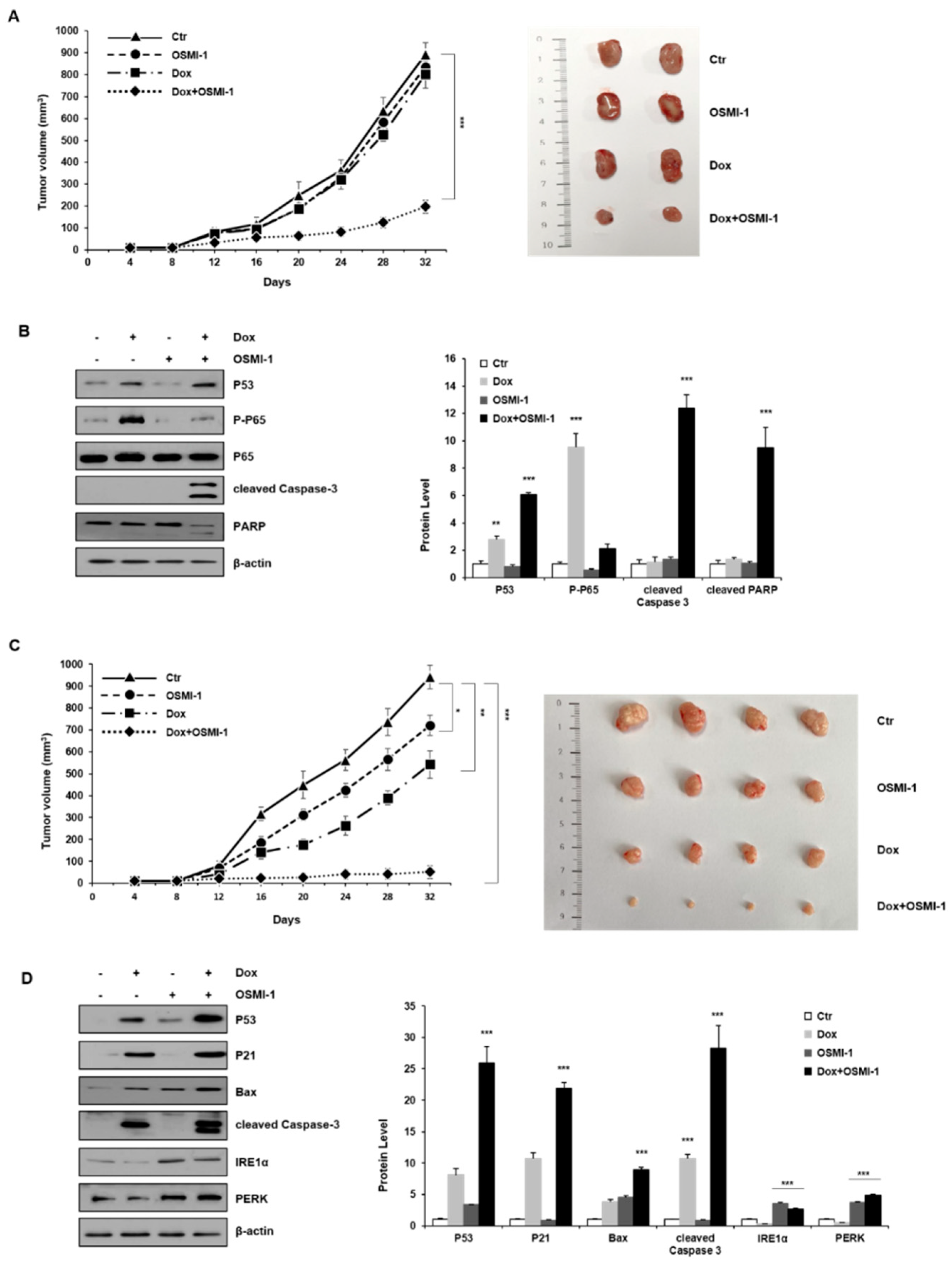 Cancers 12 03154 g005a Cancers 12 03154 g005a