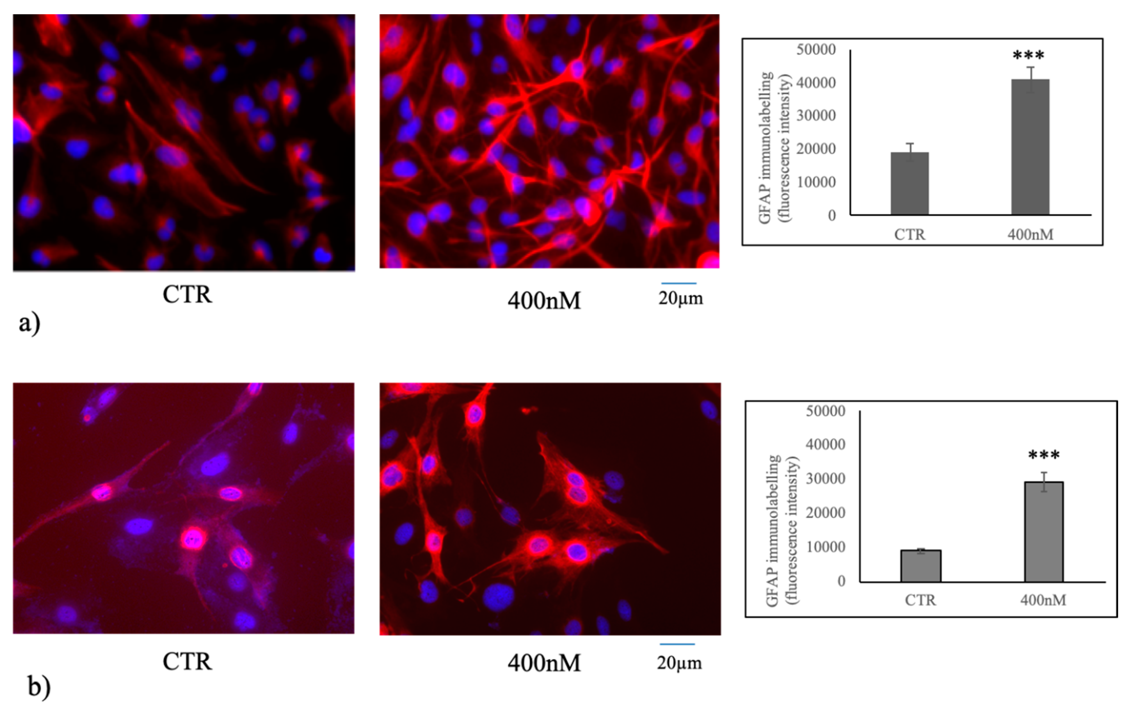 Cancers 12 03163 g005 Cancers 12 03163 g005