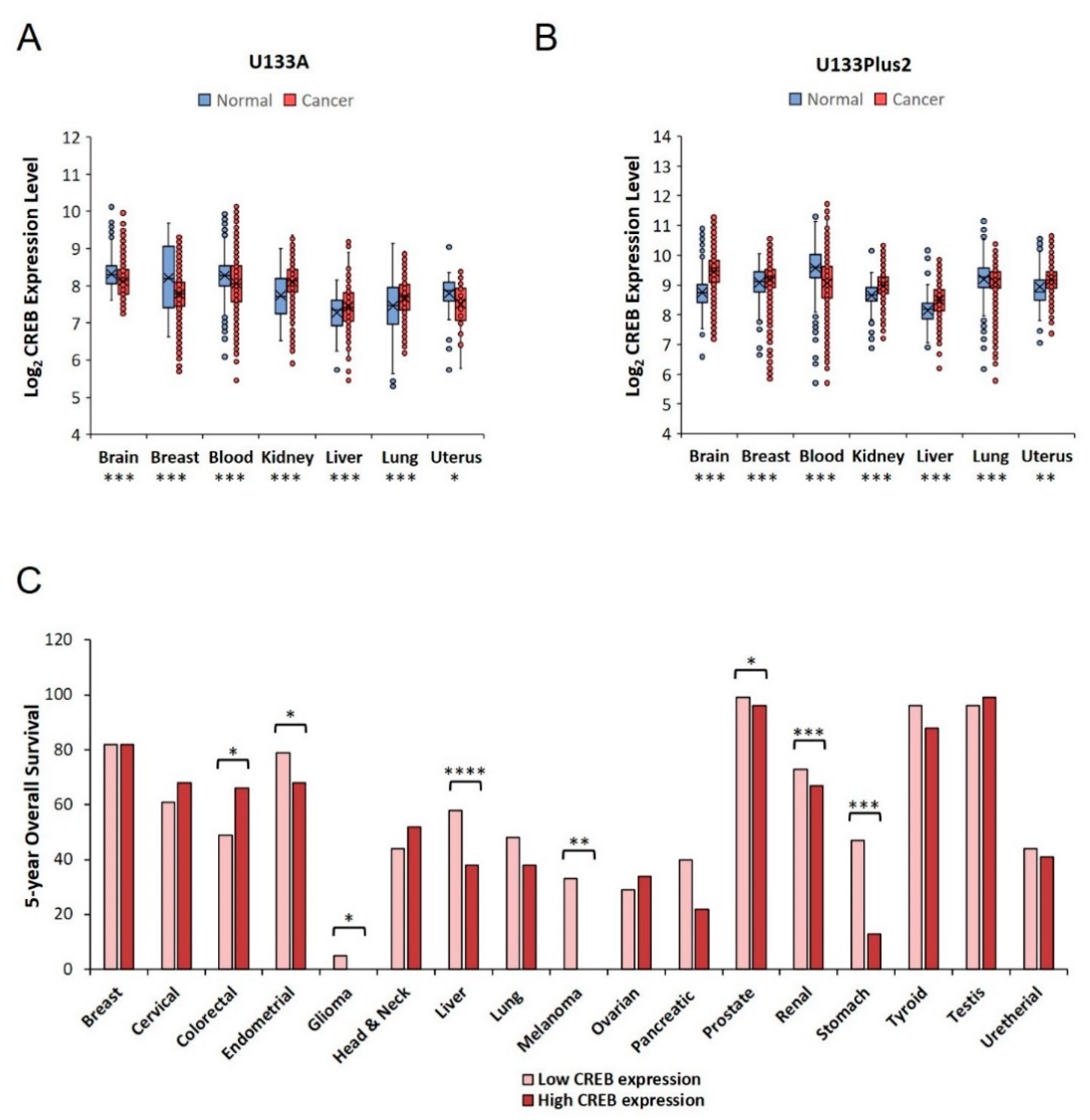 Cancers 12 03166 g001