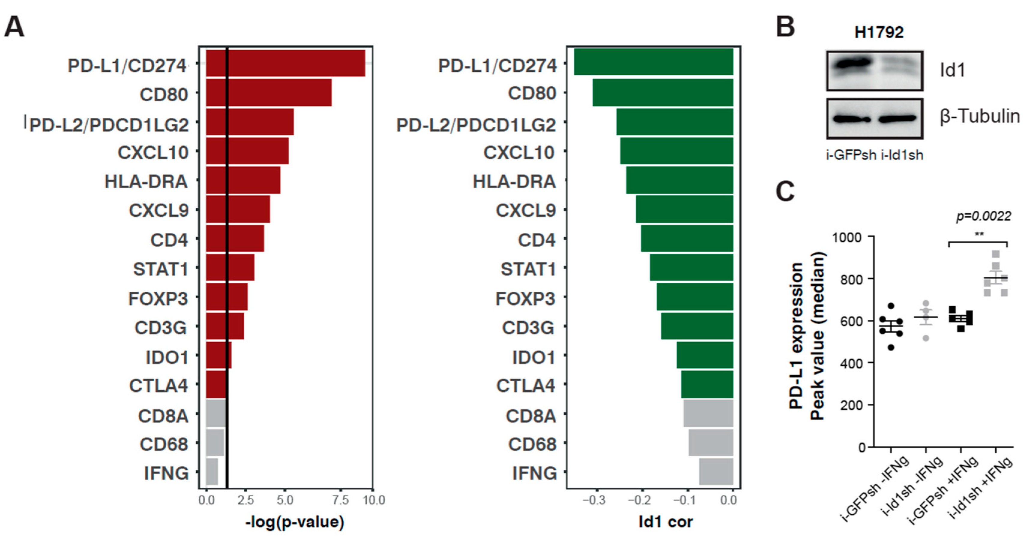 Cancers 12 03169 g001 Cancers 12 03169 g001