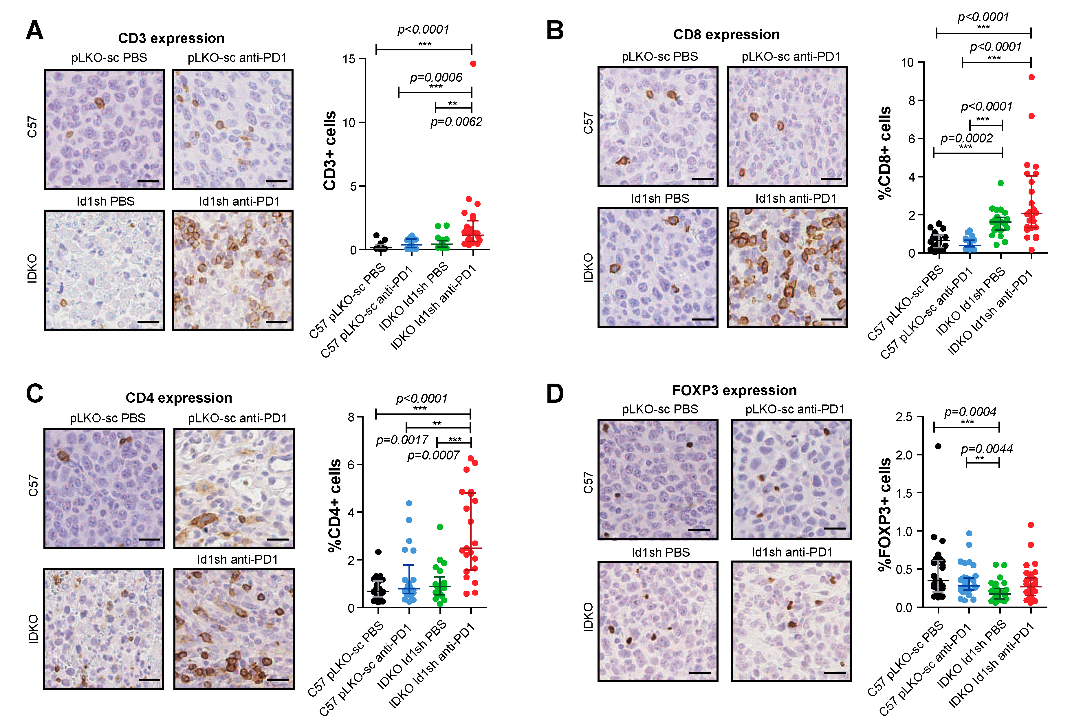 Cancers 12 03169 g004 Cancers 12 03169 g004