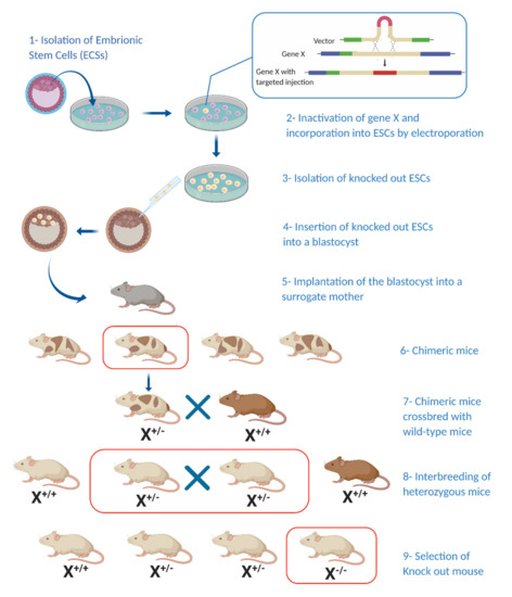 cancers-12-03170-g001-550.jpg