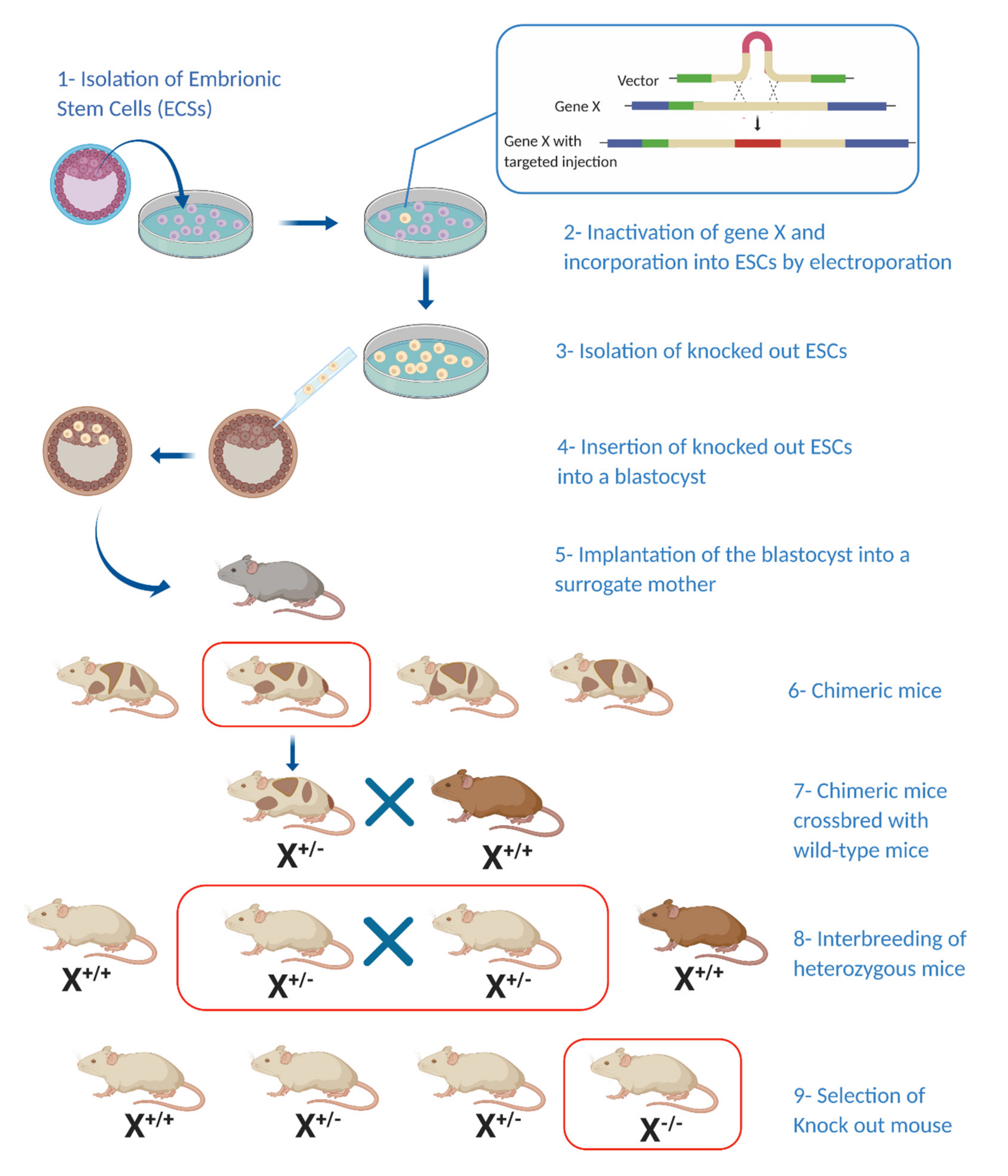 Cancers 12 03170 g001