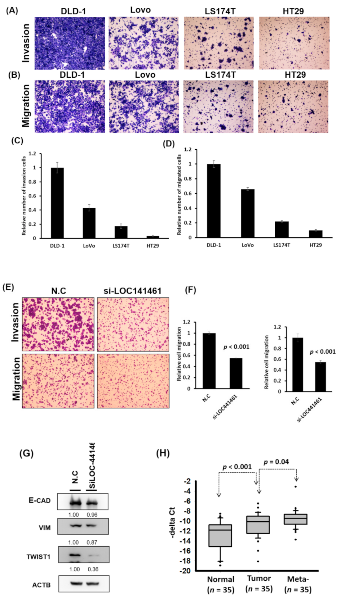 Cancers 12 03171 g005a Cancers 12 03171 g005a