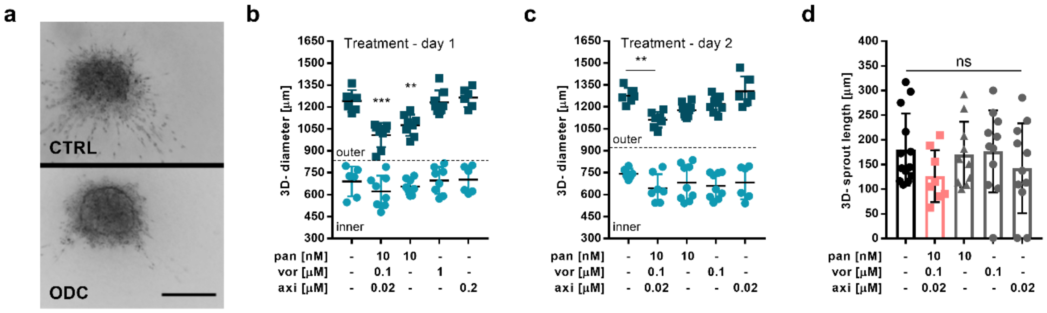 Cancers 12 03172 g003 Cancers 12 03172 g003