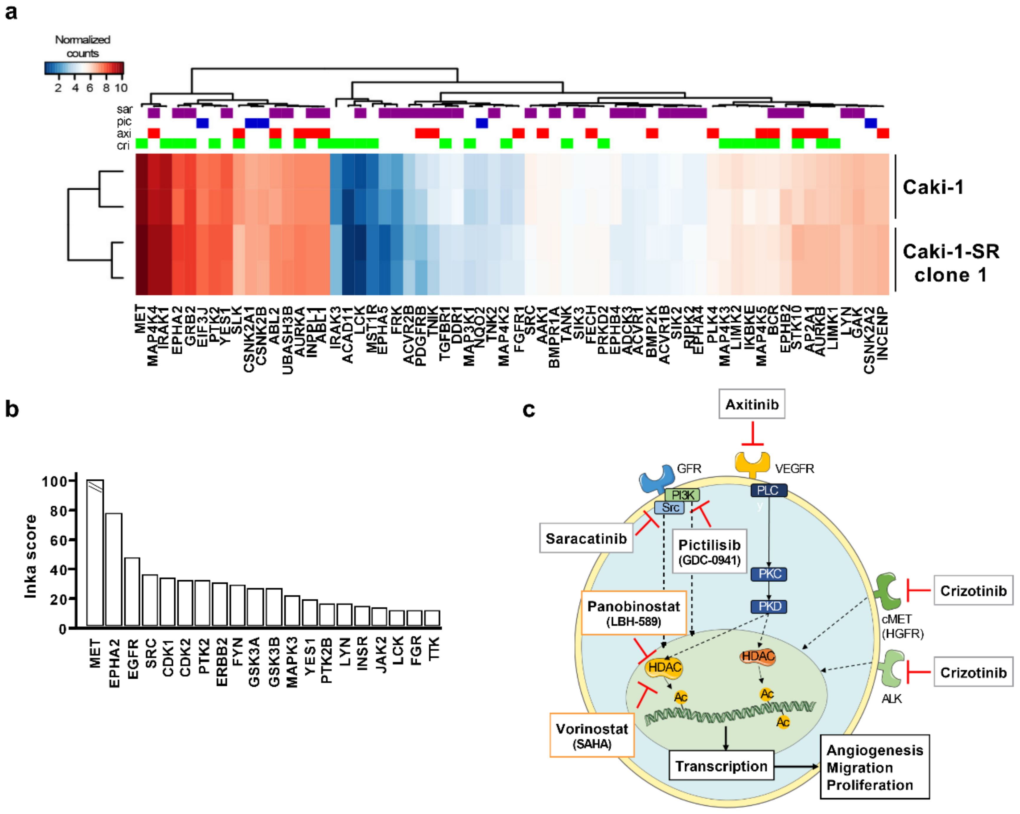Cancers 12 03172 g004 Cancers 12 03172 g004