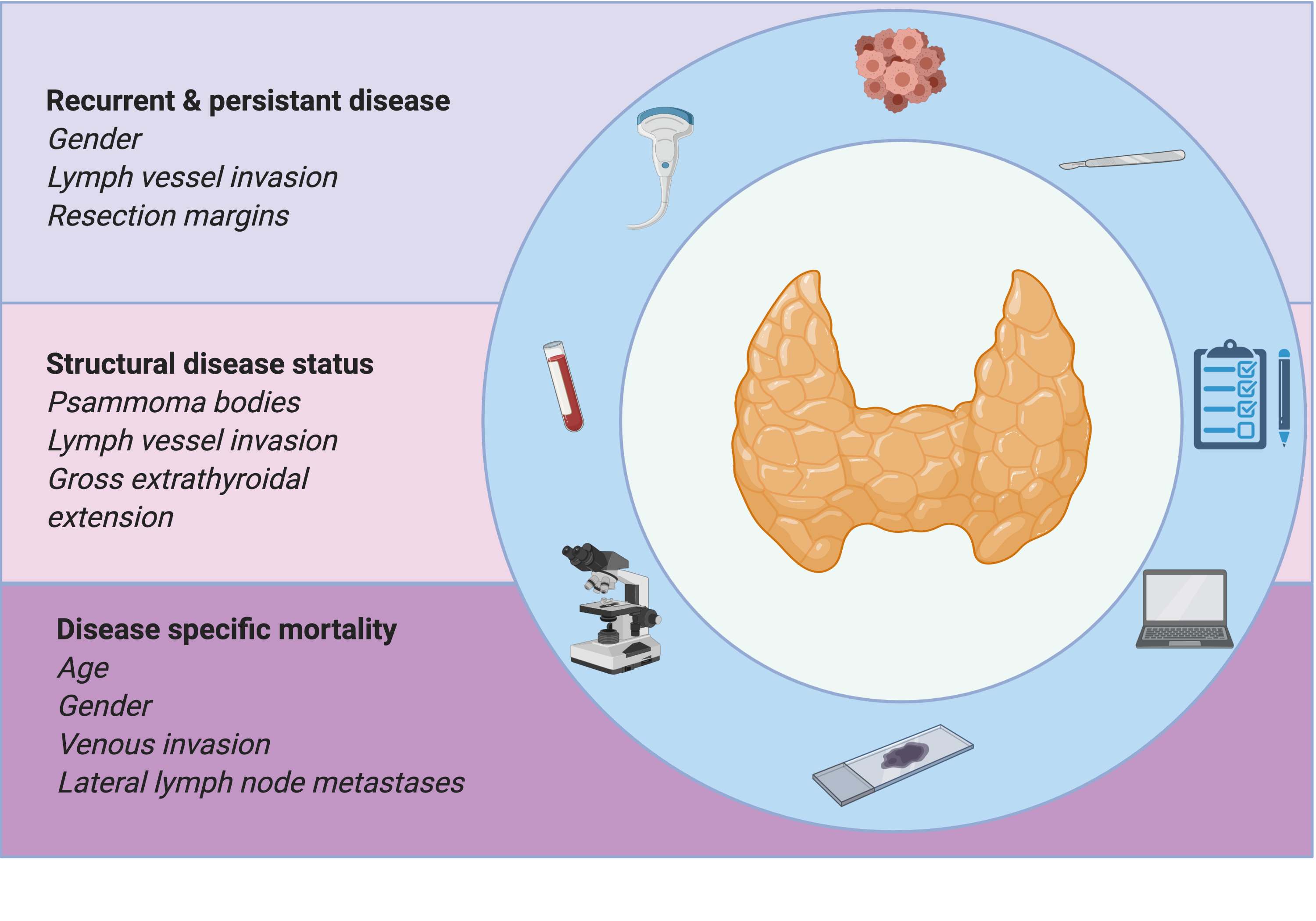 Cancers | Free Full-Text | Clinicopathological Features As Prognostic  Predictors Of Poor Outcome In Papillary Thyroid Carcinoma