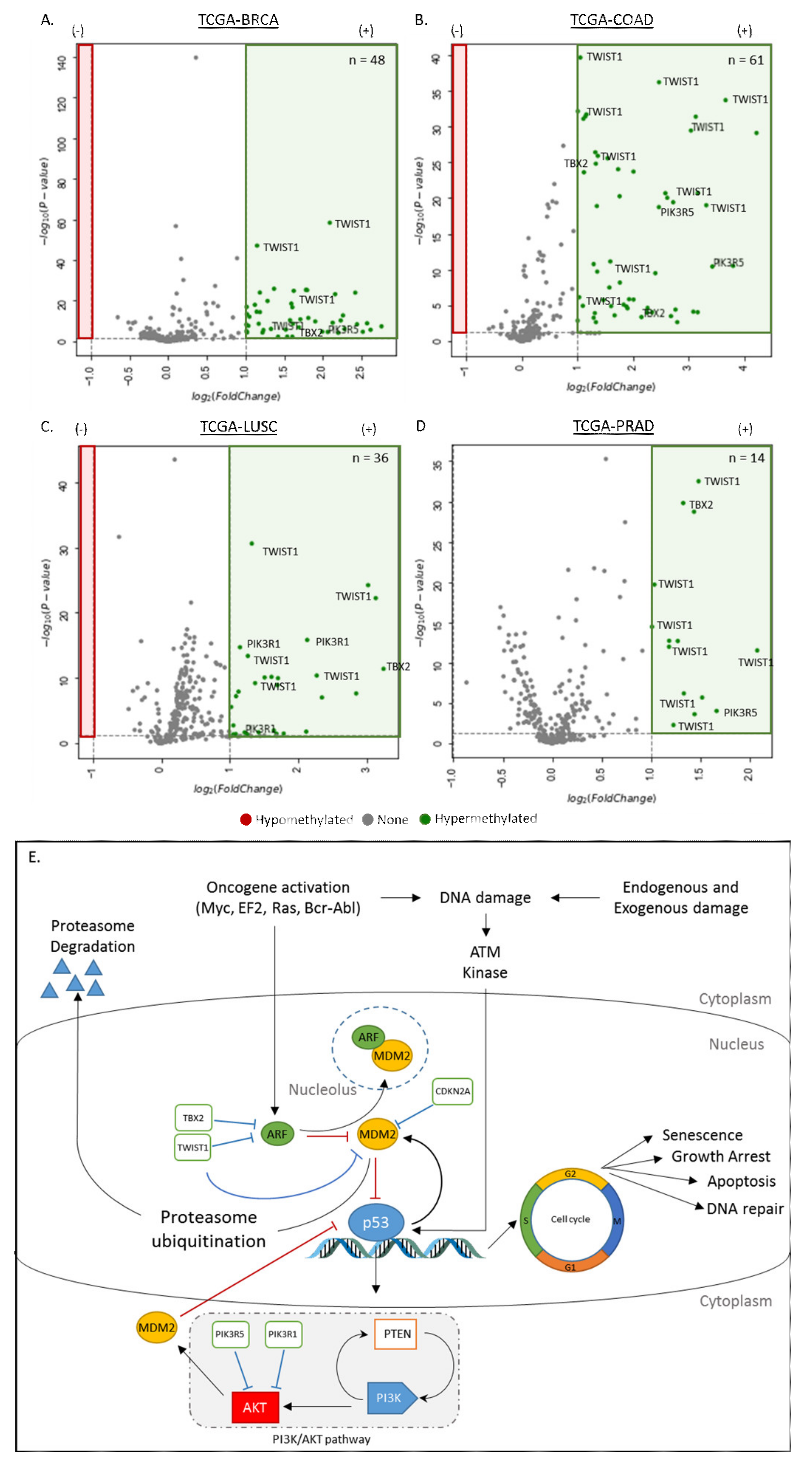Cancers 12 03199 g001 Cancers 12 03199 g001
