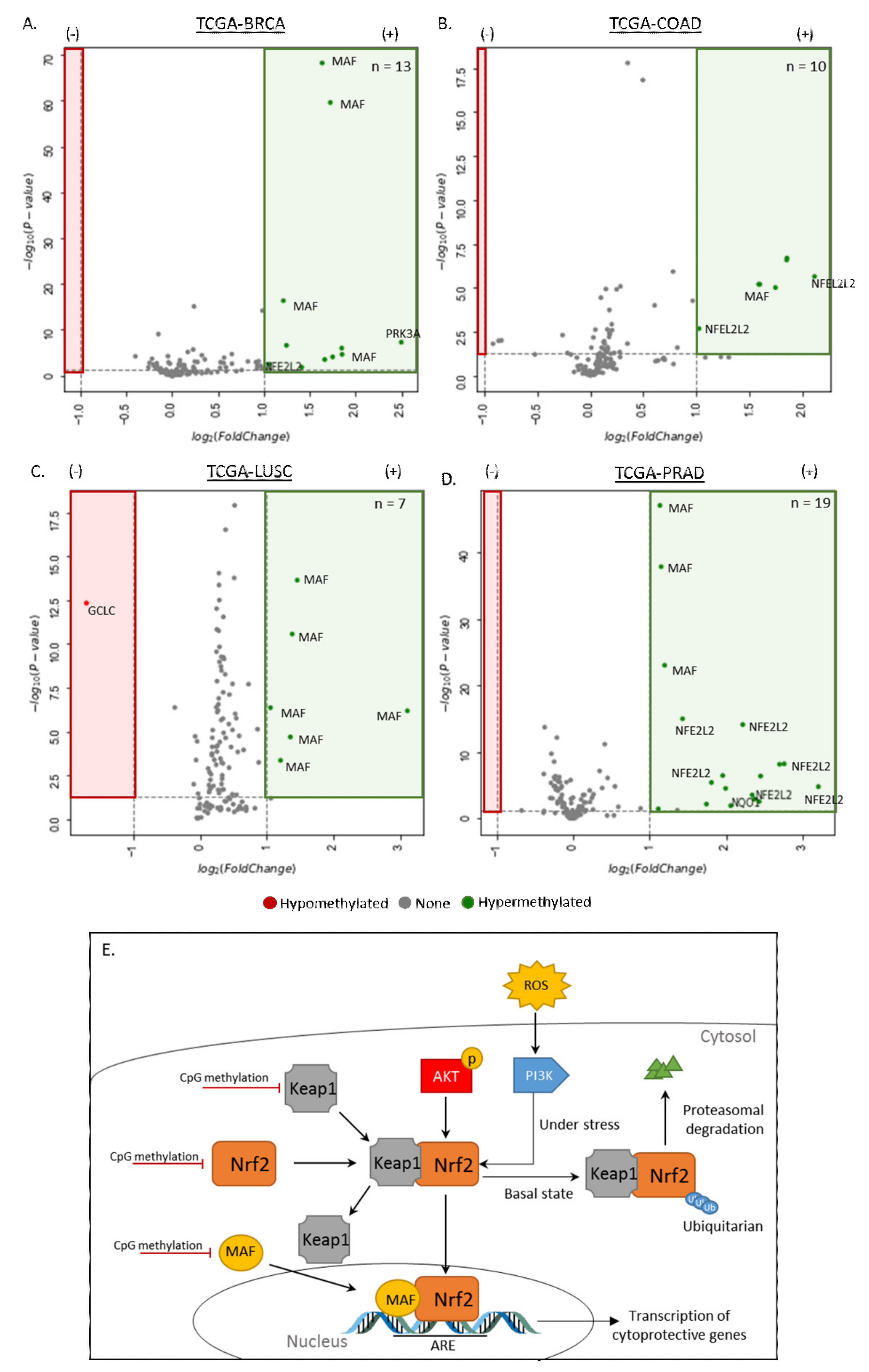 Cancers 12 03199 g002 Cancers 12 03199 g002