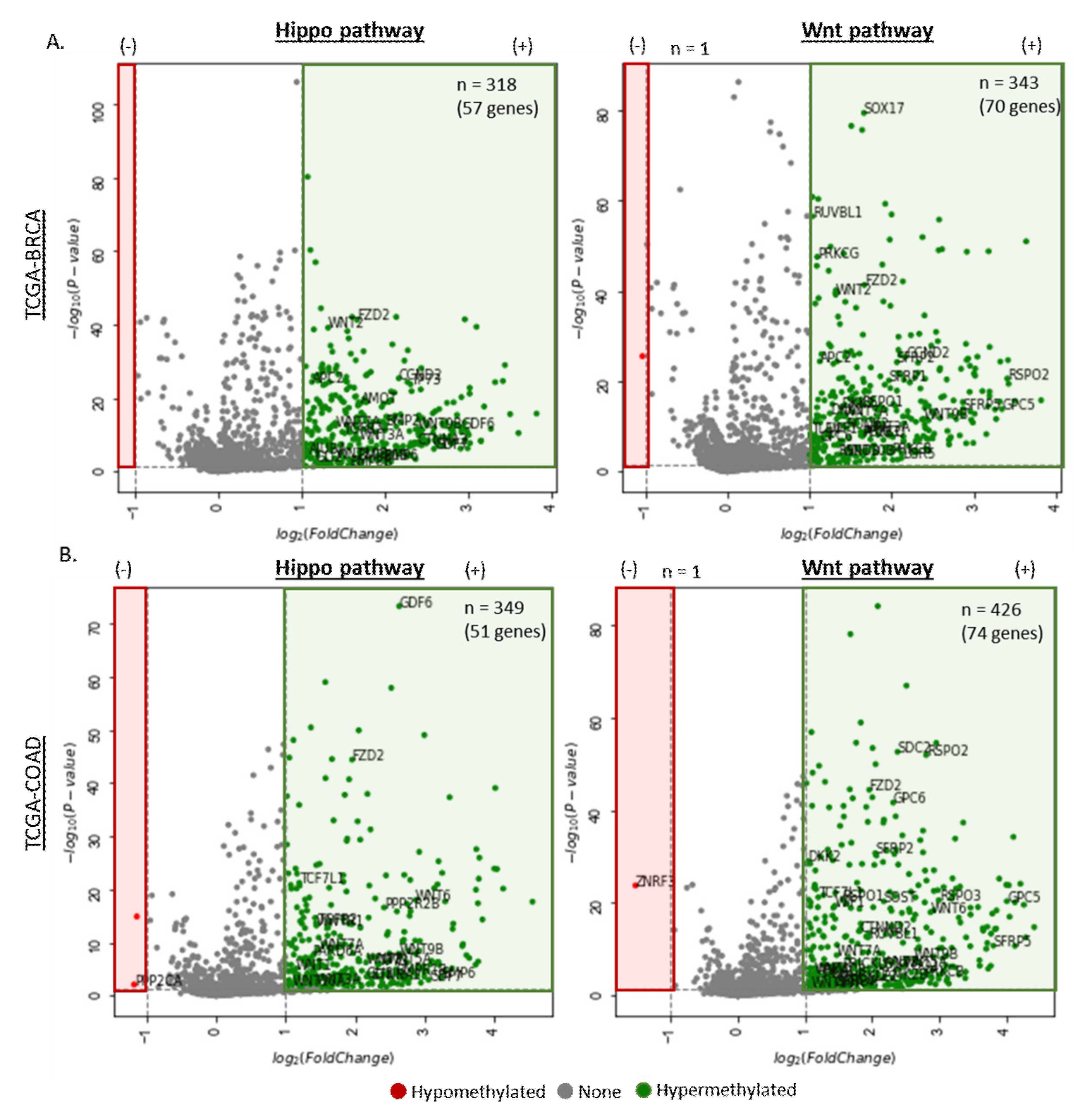 Cancers 12 03199 g003a Cancers 12 03199 g003a