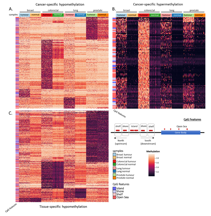 Cancers 12 03199 g006 Cancers 12 03199 g006