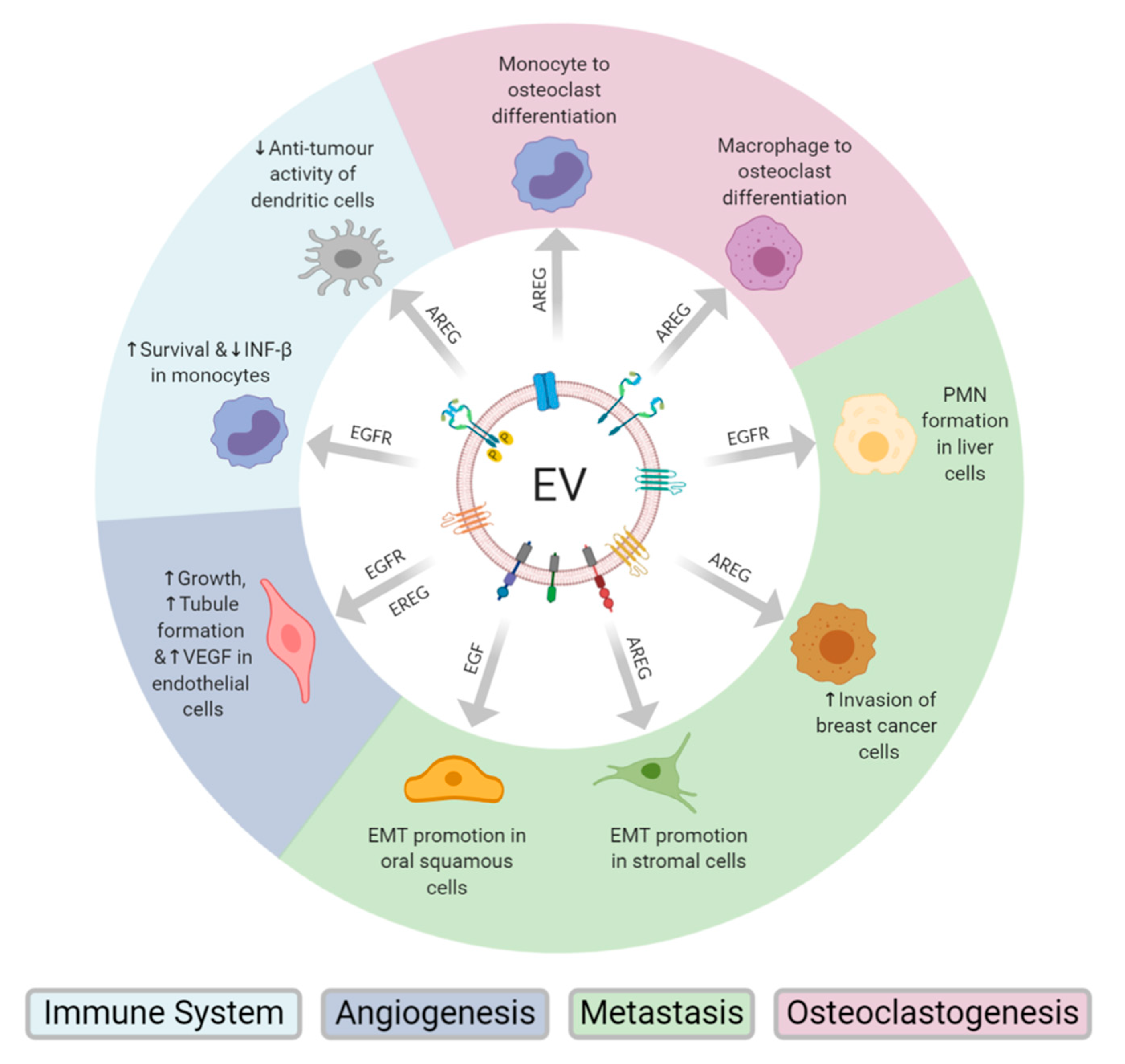 Cancers 12 03200 g002