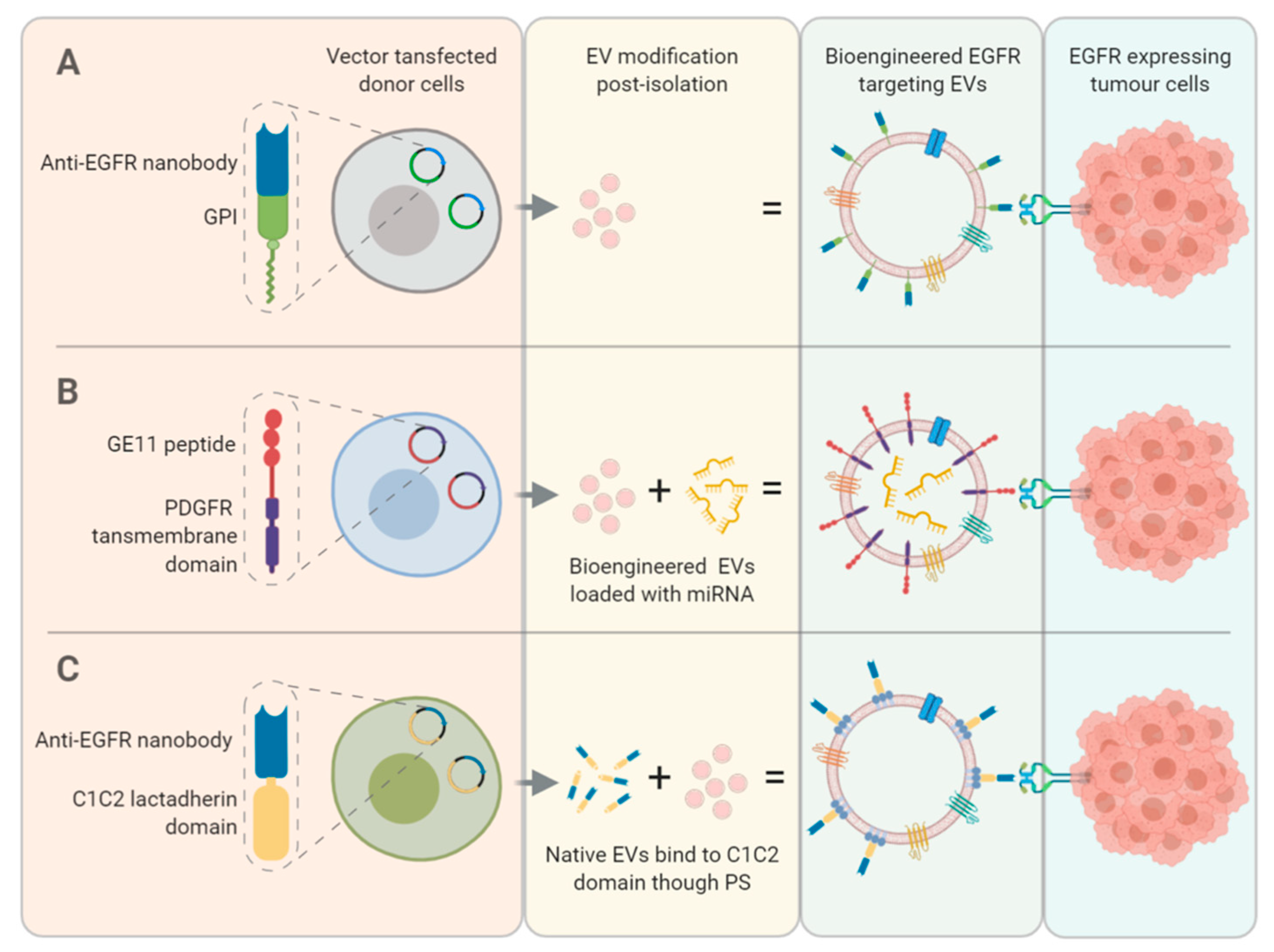 Cancers 12 03200 g003