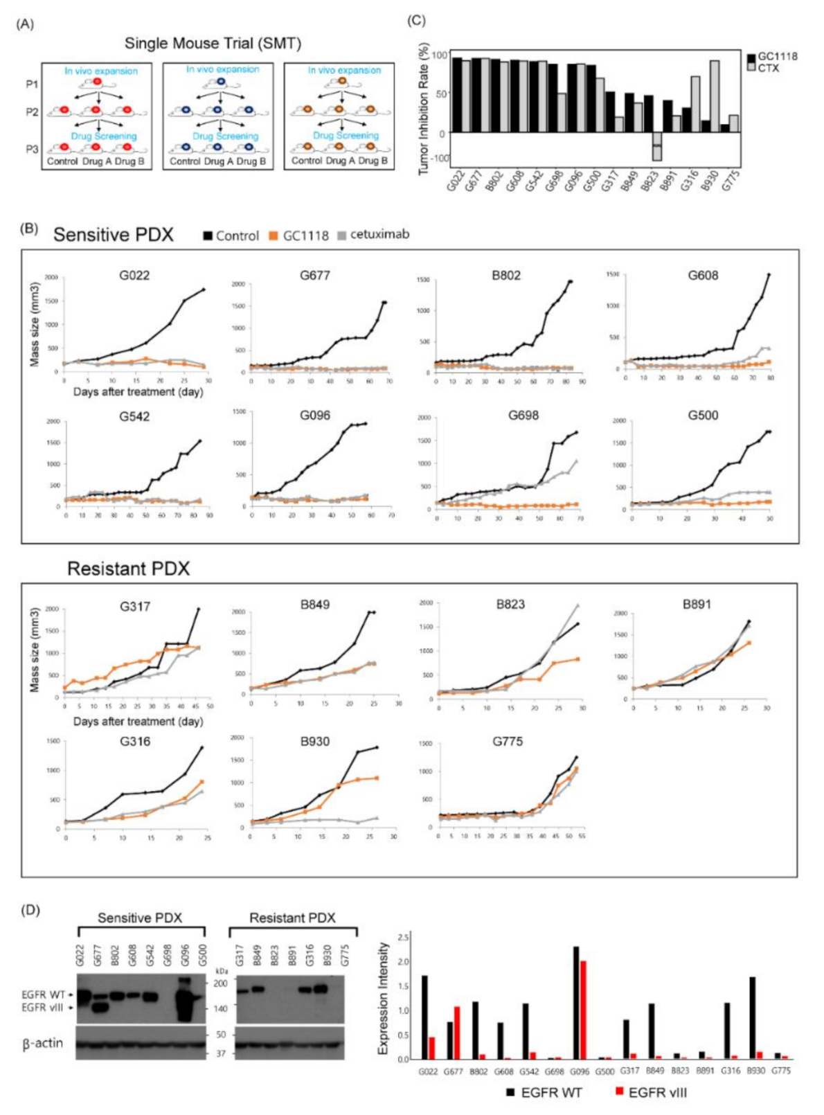 Cancers 12 03210 g001