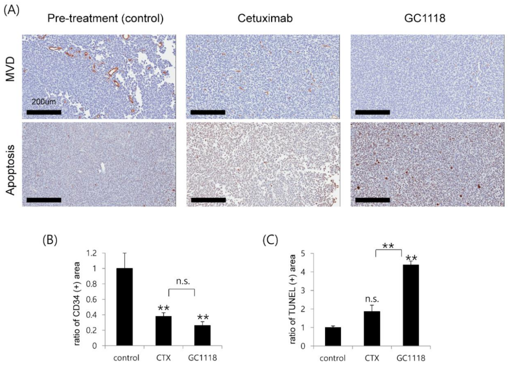 Cancers 12 03210 g005