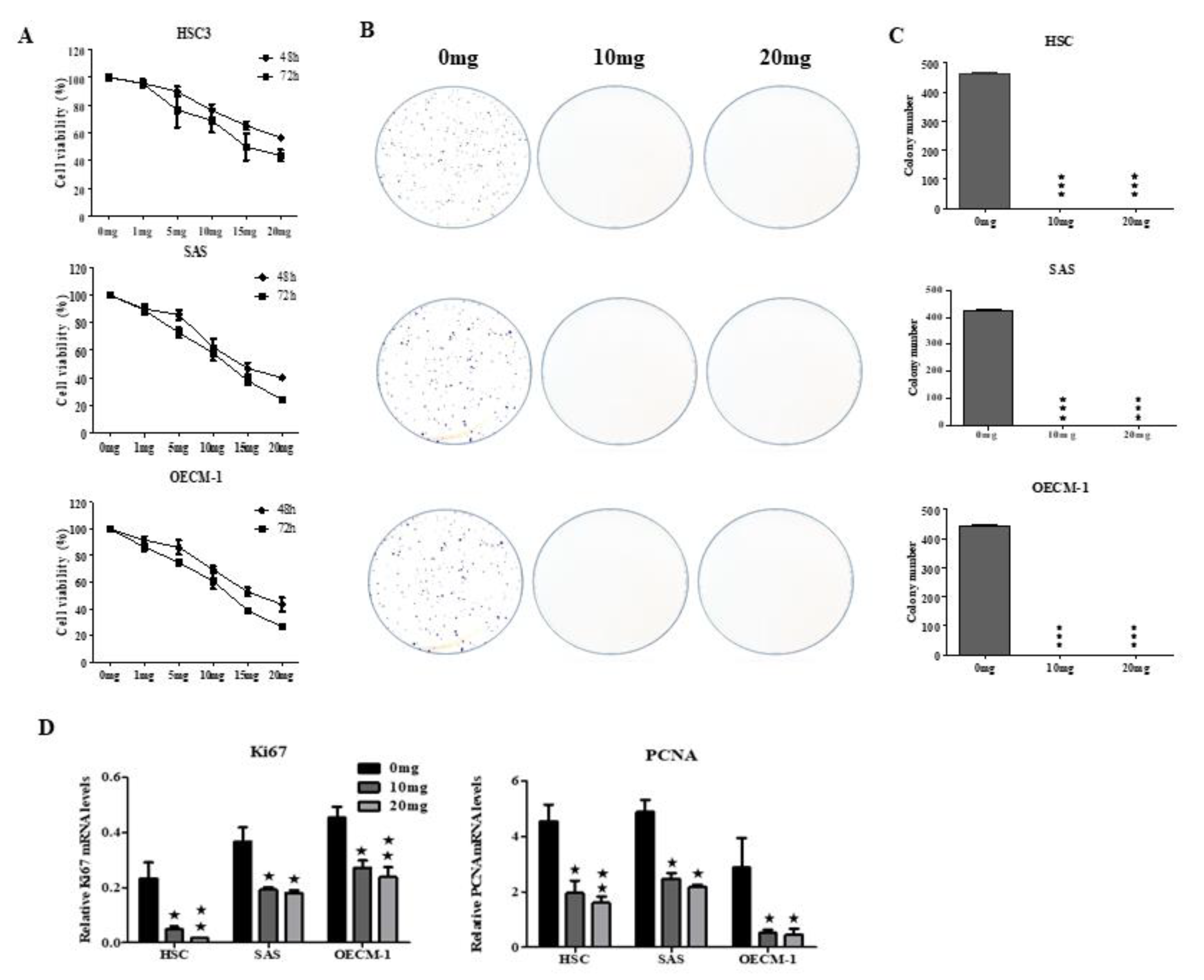 Cancers 12 03214 g001