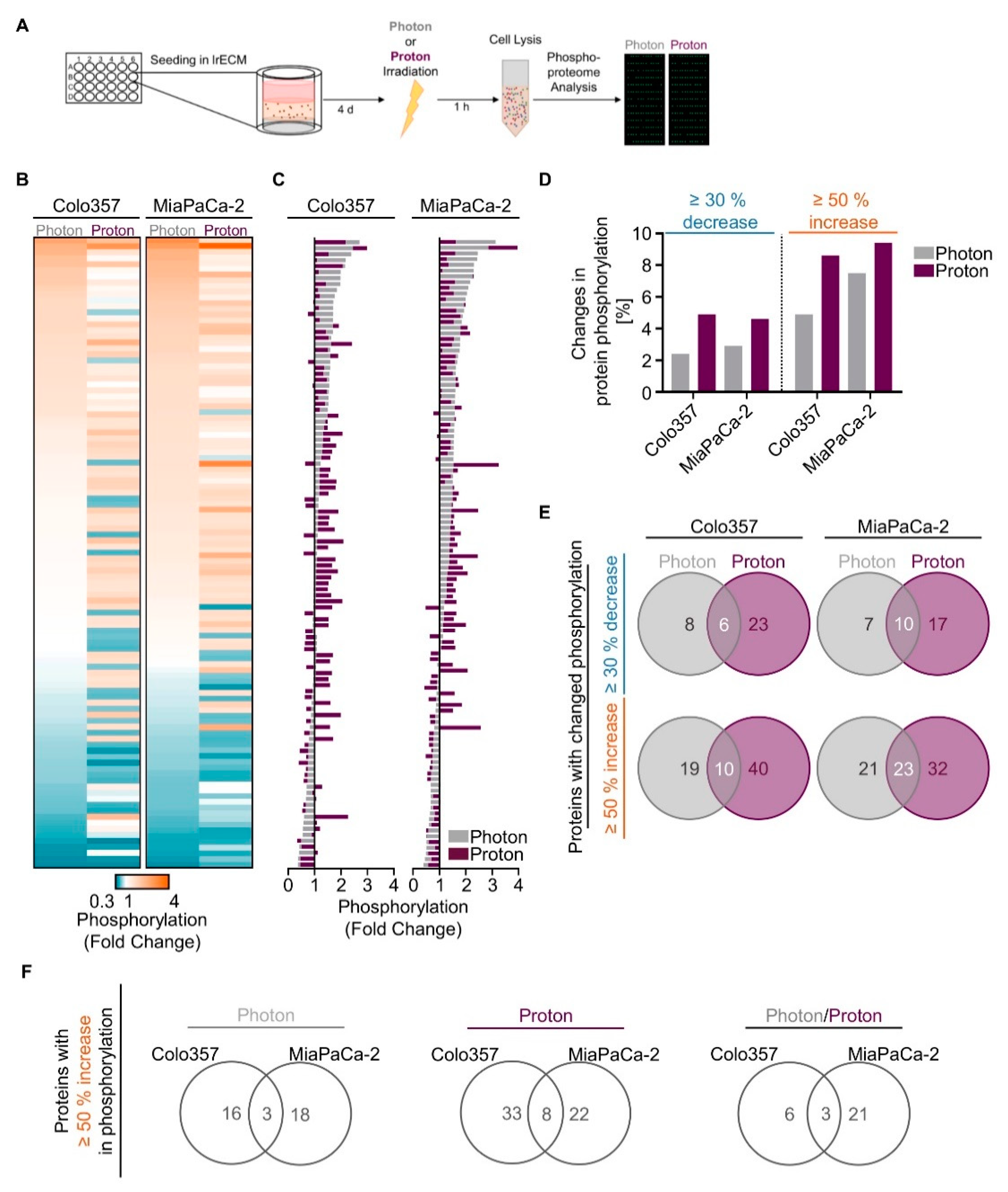 Cancers 12 03216 g002 Cancers 12 03216 g002