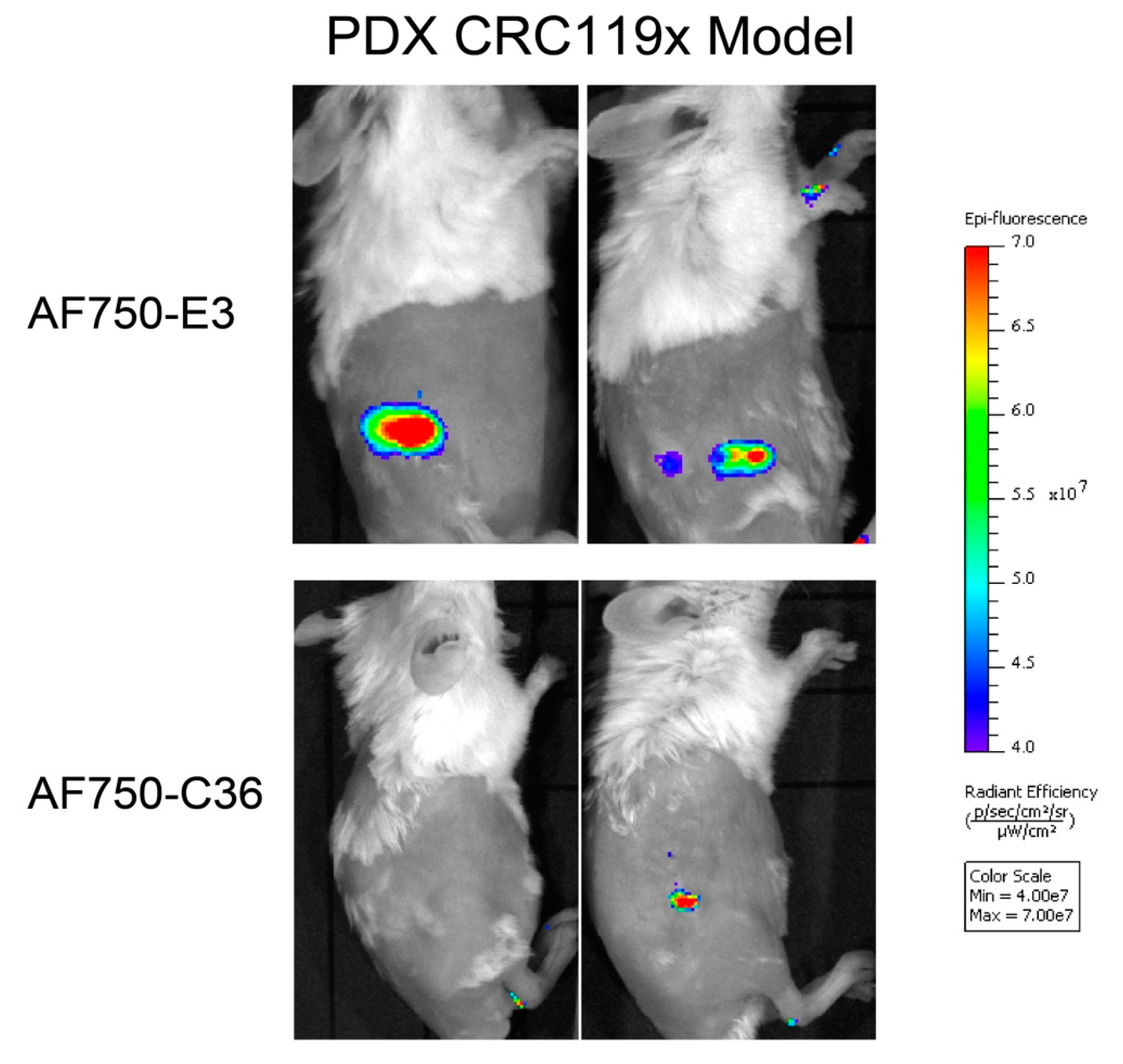 Cancers 12 03217 g006 Cancers 12 03217 g006