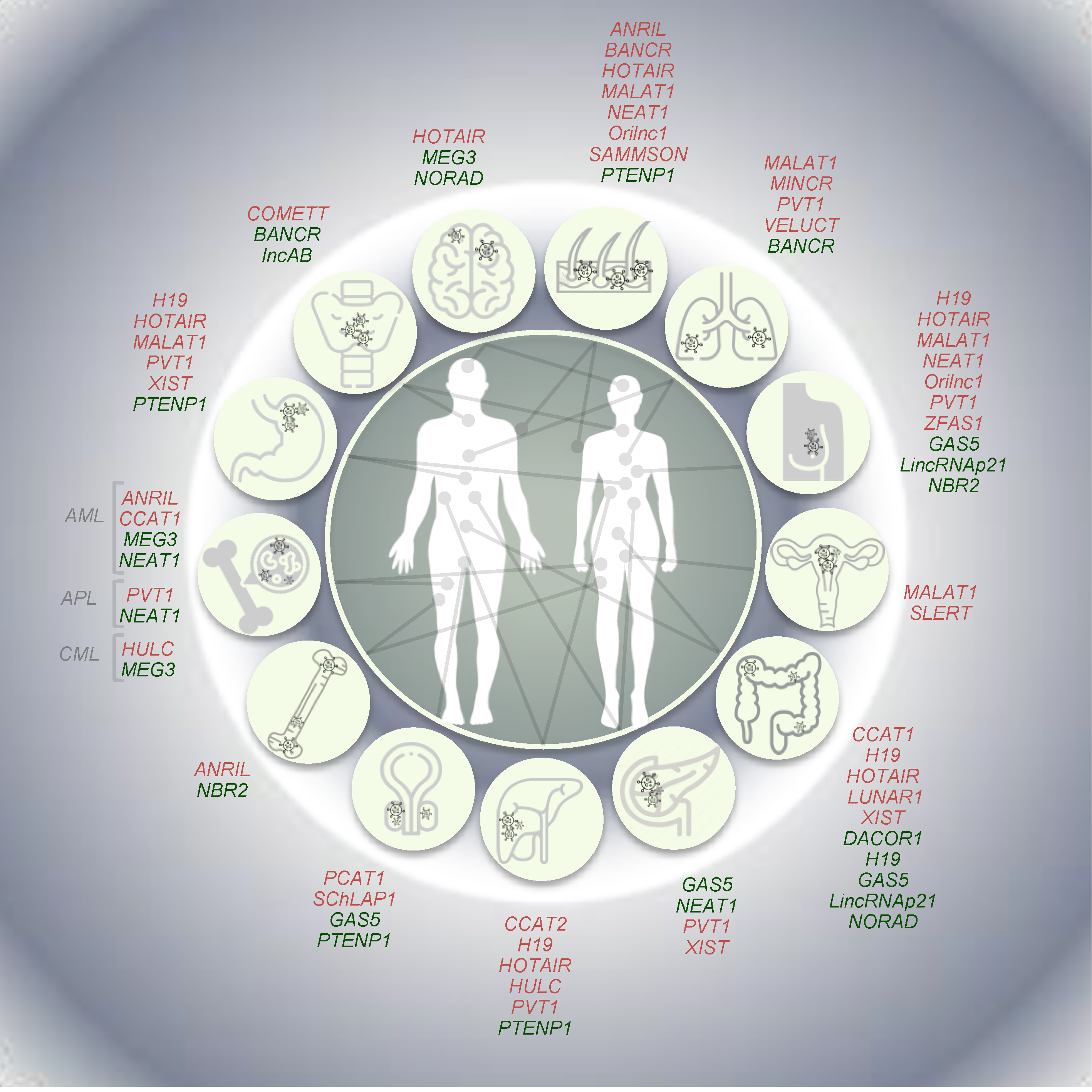 Cancers 12 03220 g003