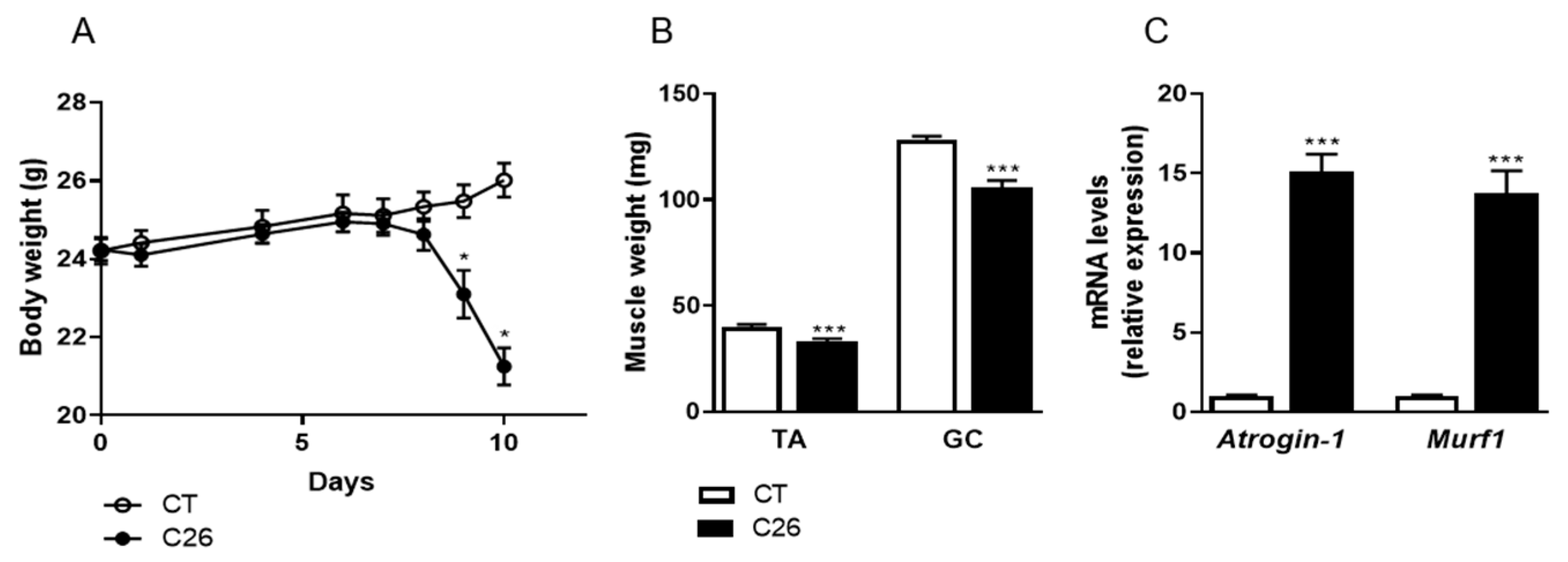 Cancers 12 03221 g001 Cancers 12 03221 g001