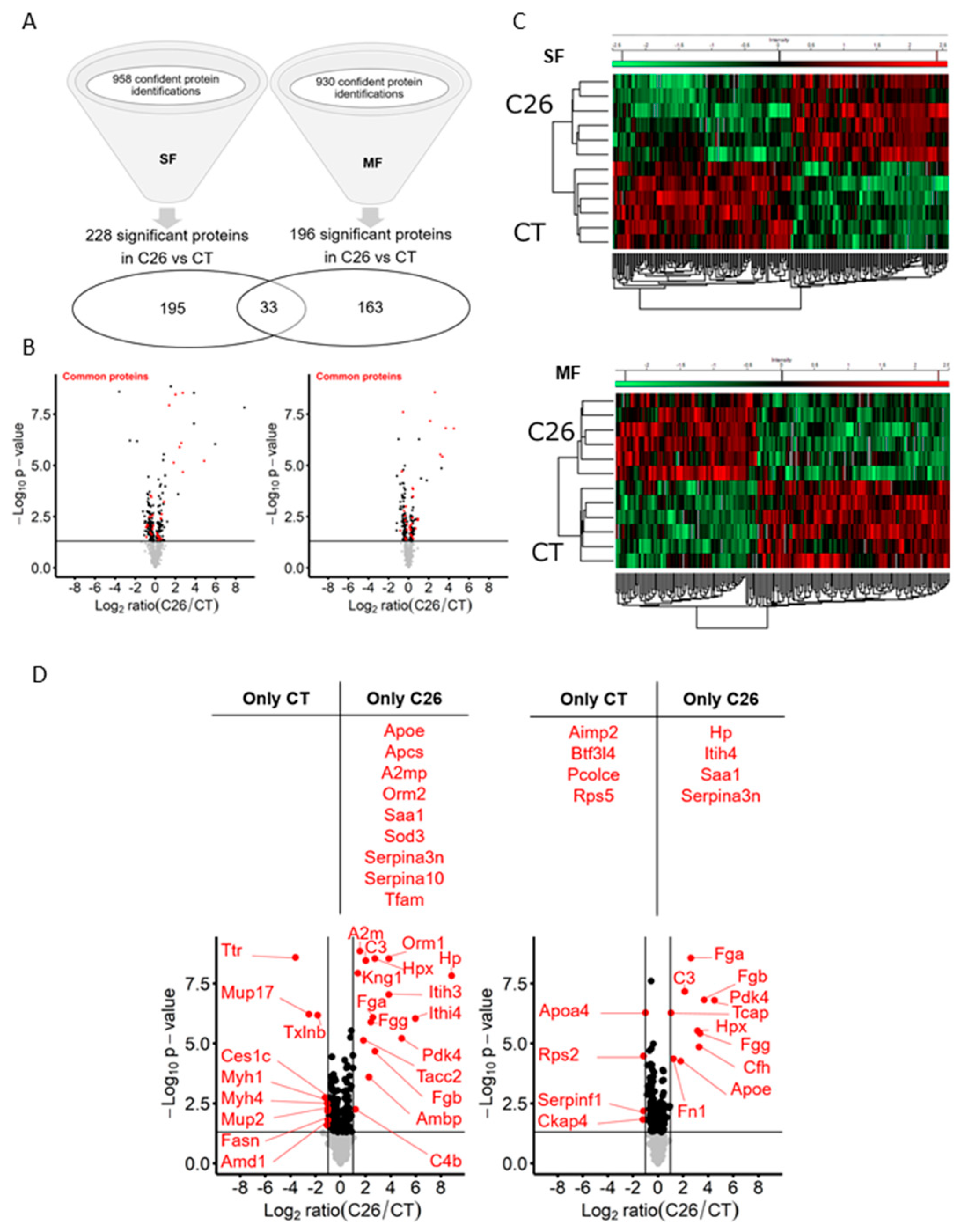 Cancers 12 03221 g002 Cancers 12 03221 g002