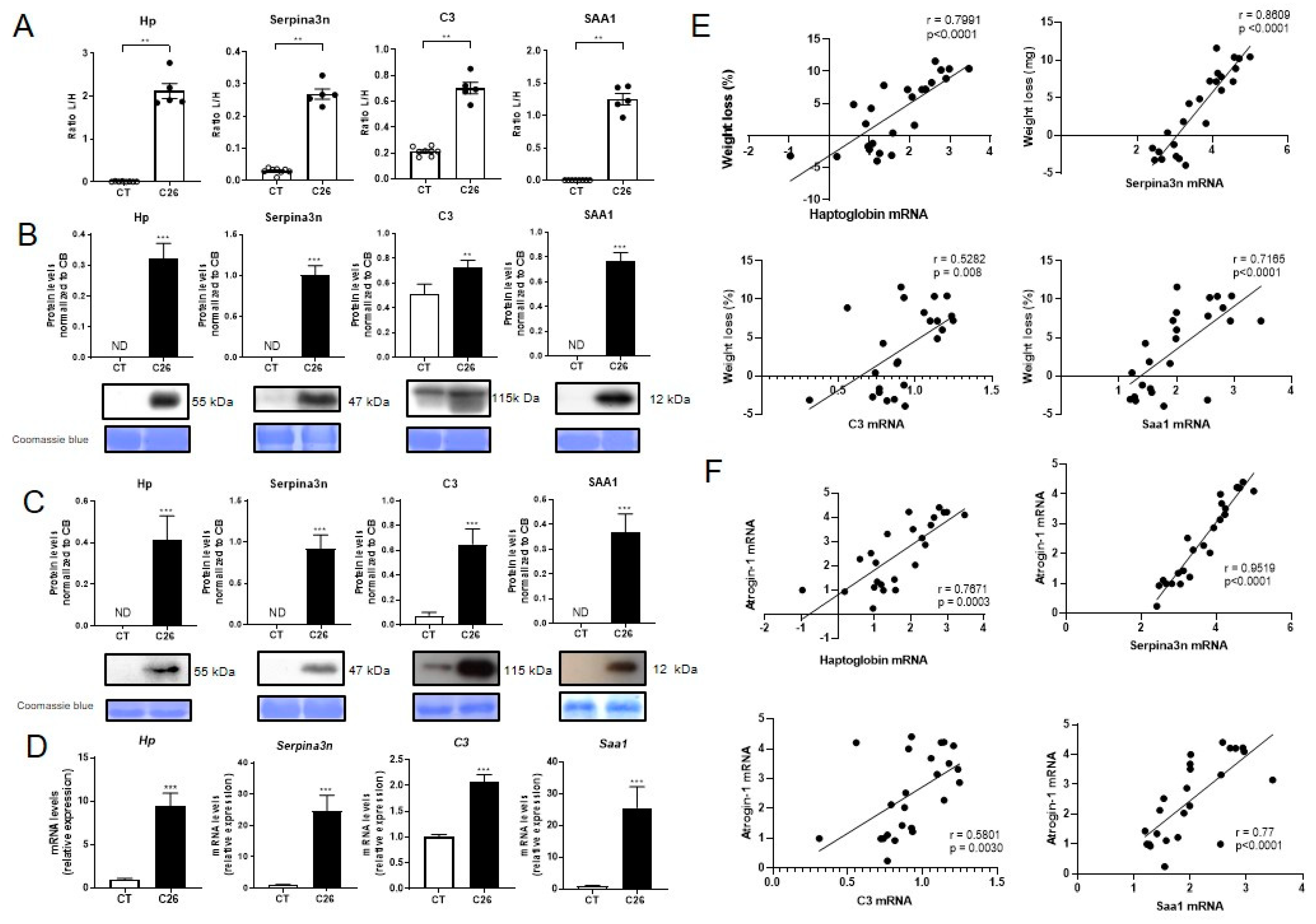 Cancers 12 03221 g003 Cancers 12 03221 g003