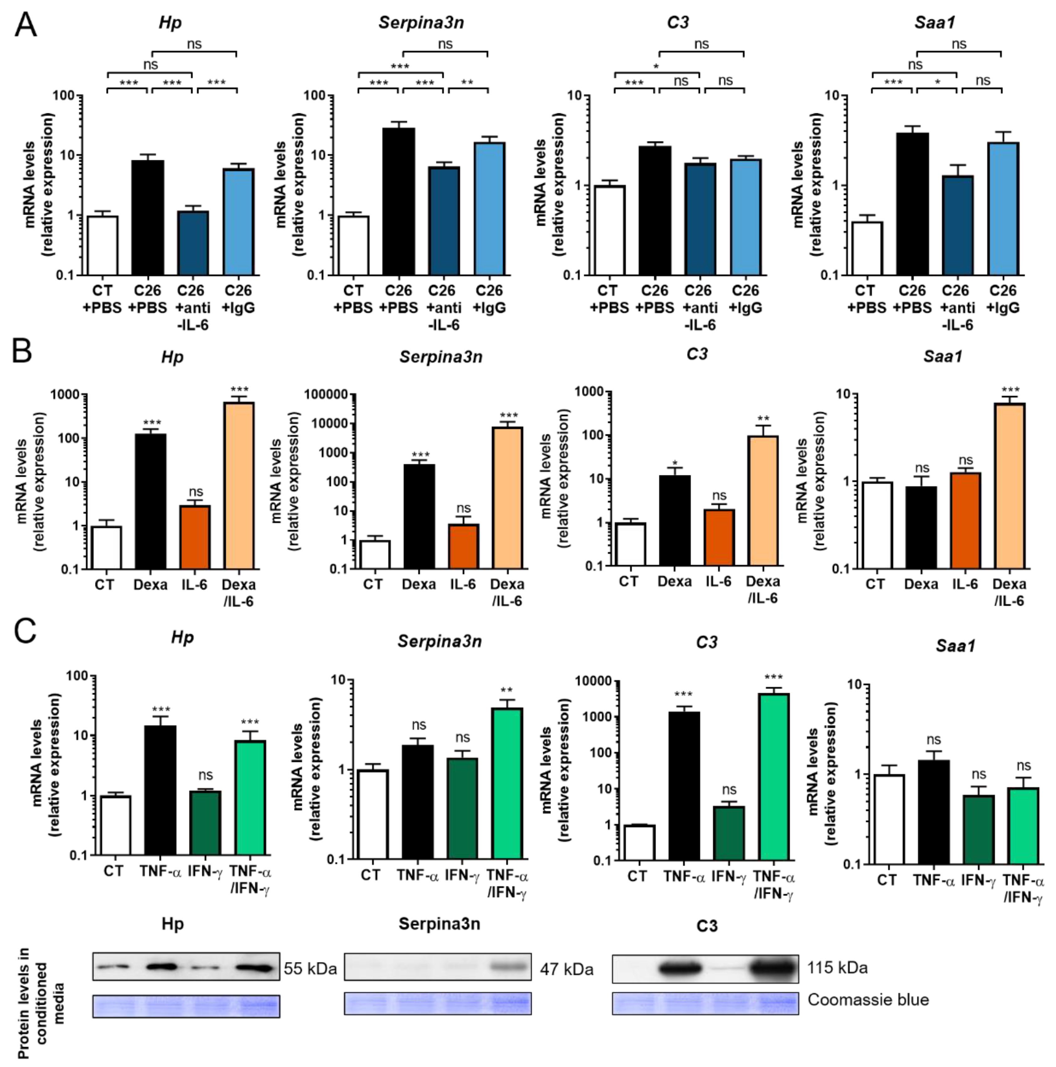 Cancers 12 03221 g005 Cancers 12 03221 g005